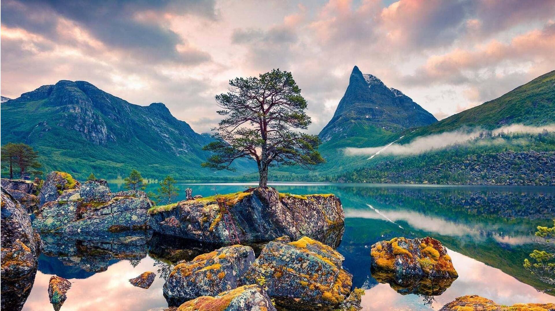 Lima Tips Penting untuk Memotret Keindahan Alam yang Menakjubkan