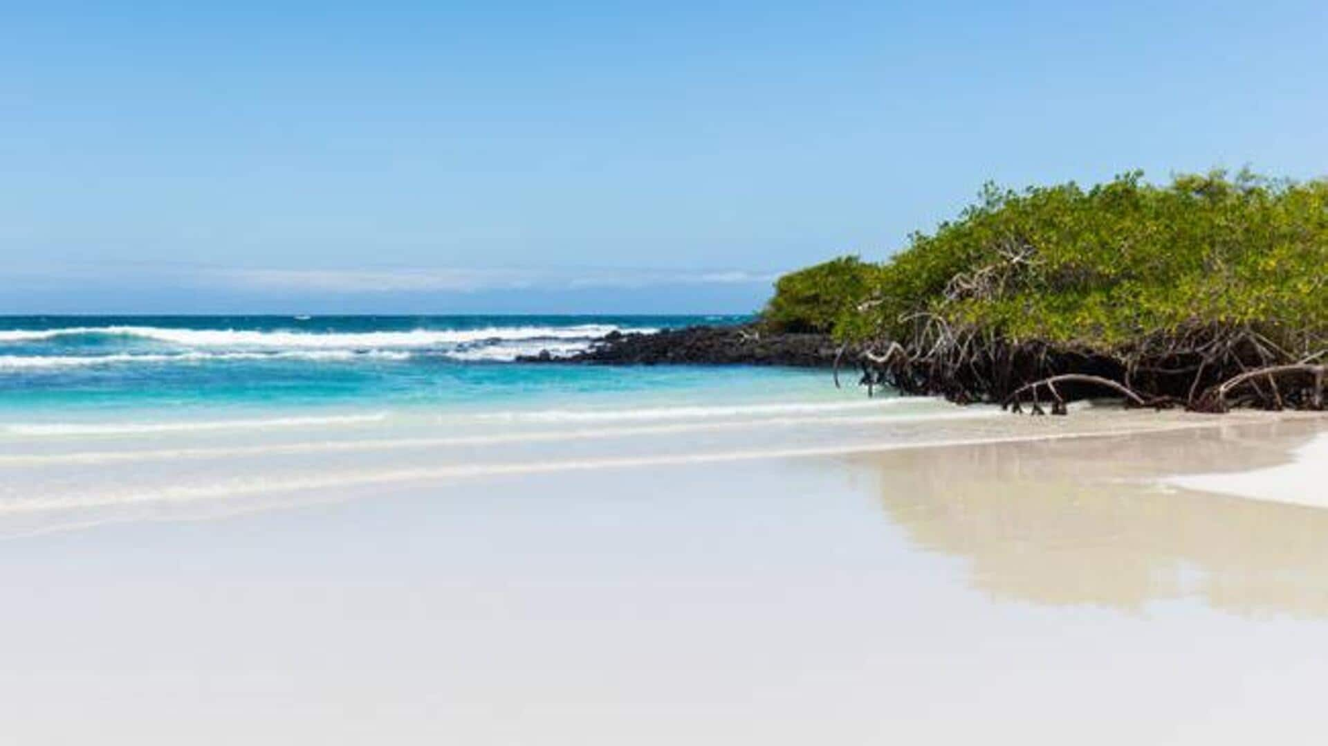 Snorkeling dengan singa laut di Galapagos