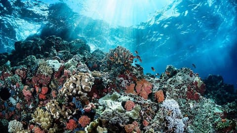 Fakta Menarik tentang Teknologi di Laboratorium Penelitian Bawah Laut