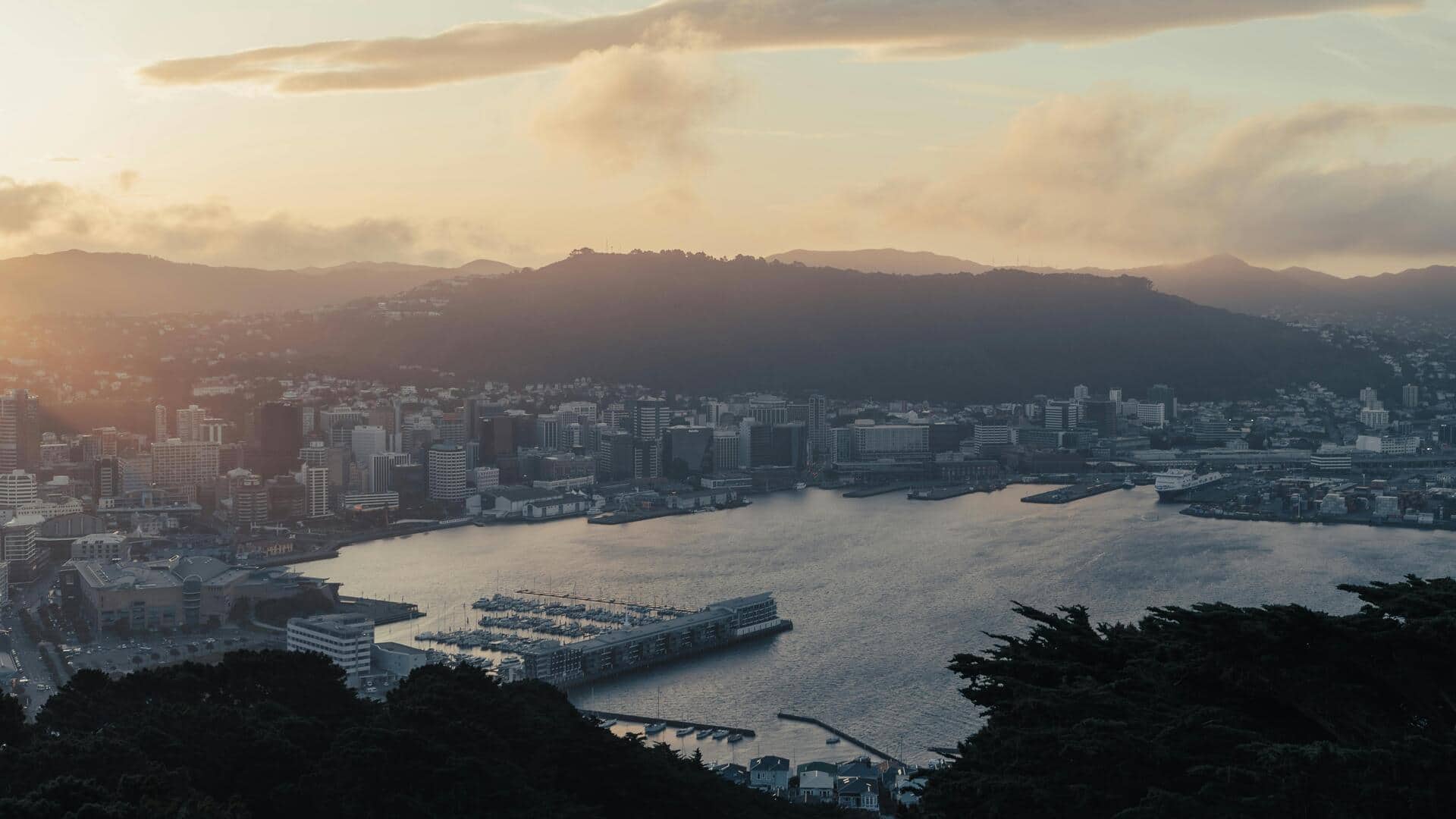 Menjelajahi Area Tepi Air Wellington: 5 Jalur Indah