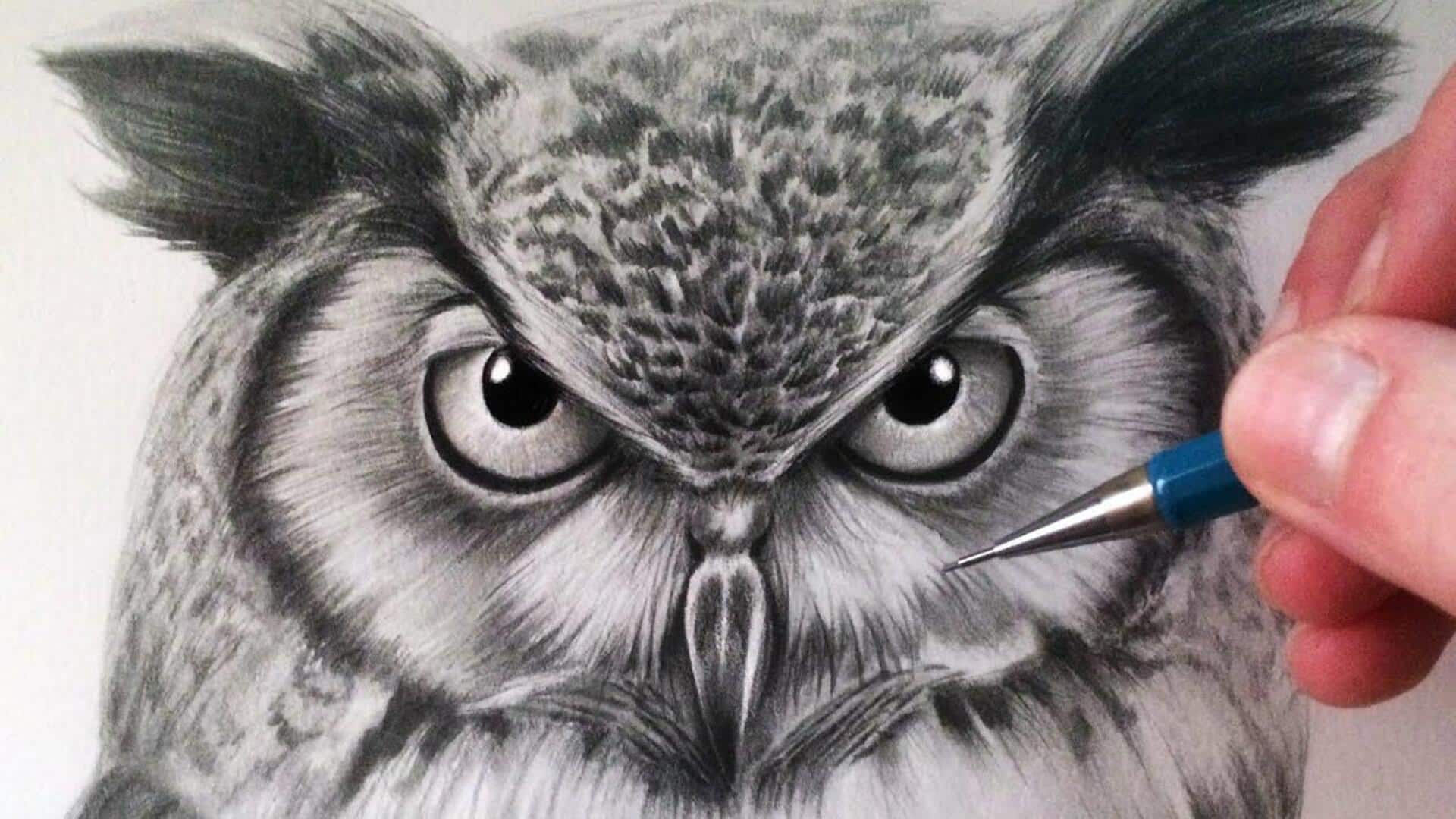 Sketsa Burung yang Menawan untuk Para Seniman
