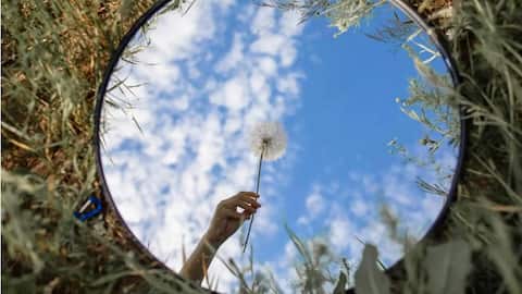 Menangkap Refleksi: Seni Tersembunyi dalam Cermin