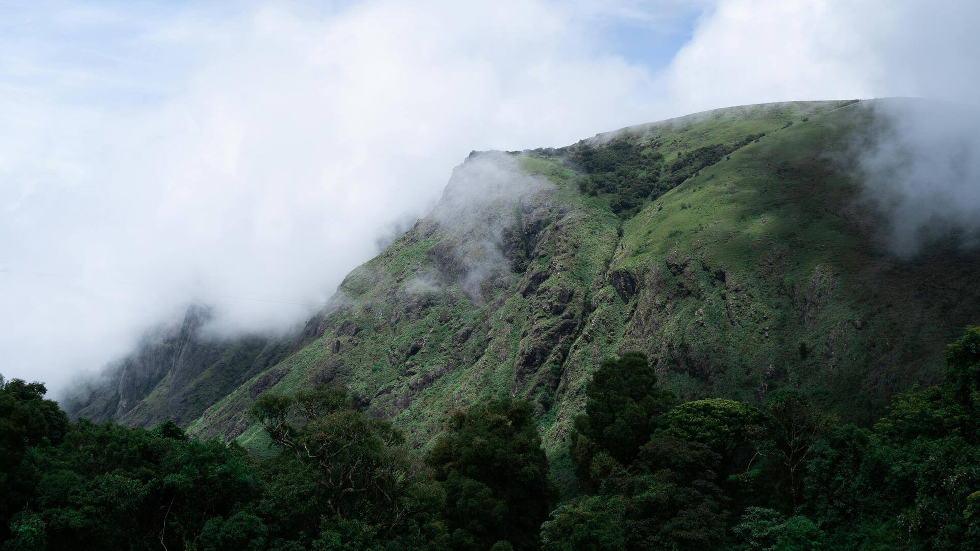 Menjelajahi Keindahan Pegunungan Nilgiri di India