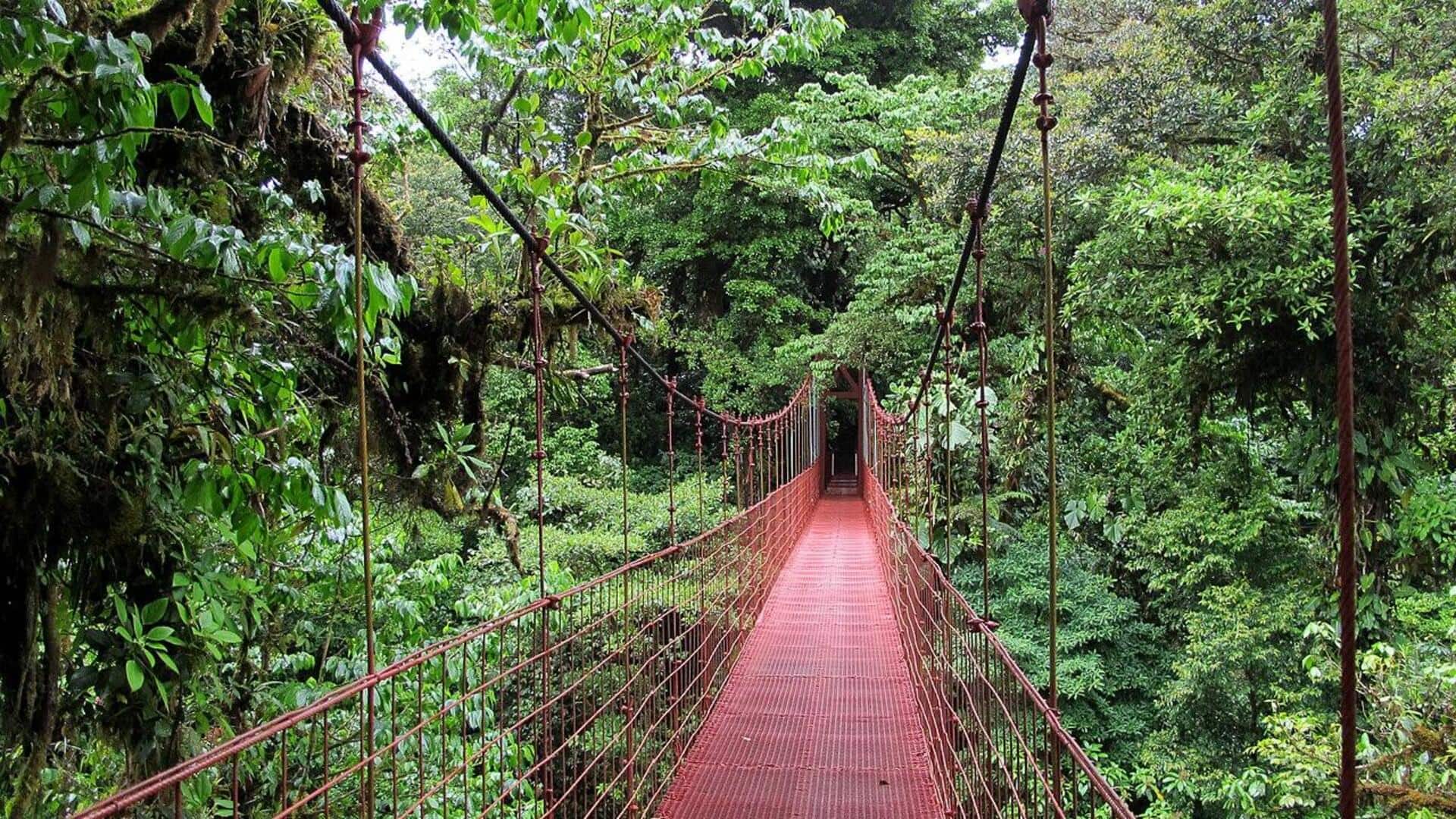 Menjelajahi Keanekaragaman Hayati Hutan Awan Kosta Rika