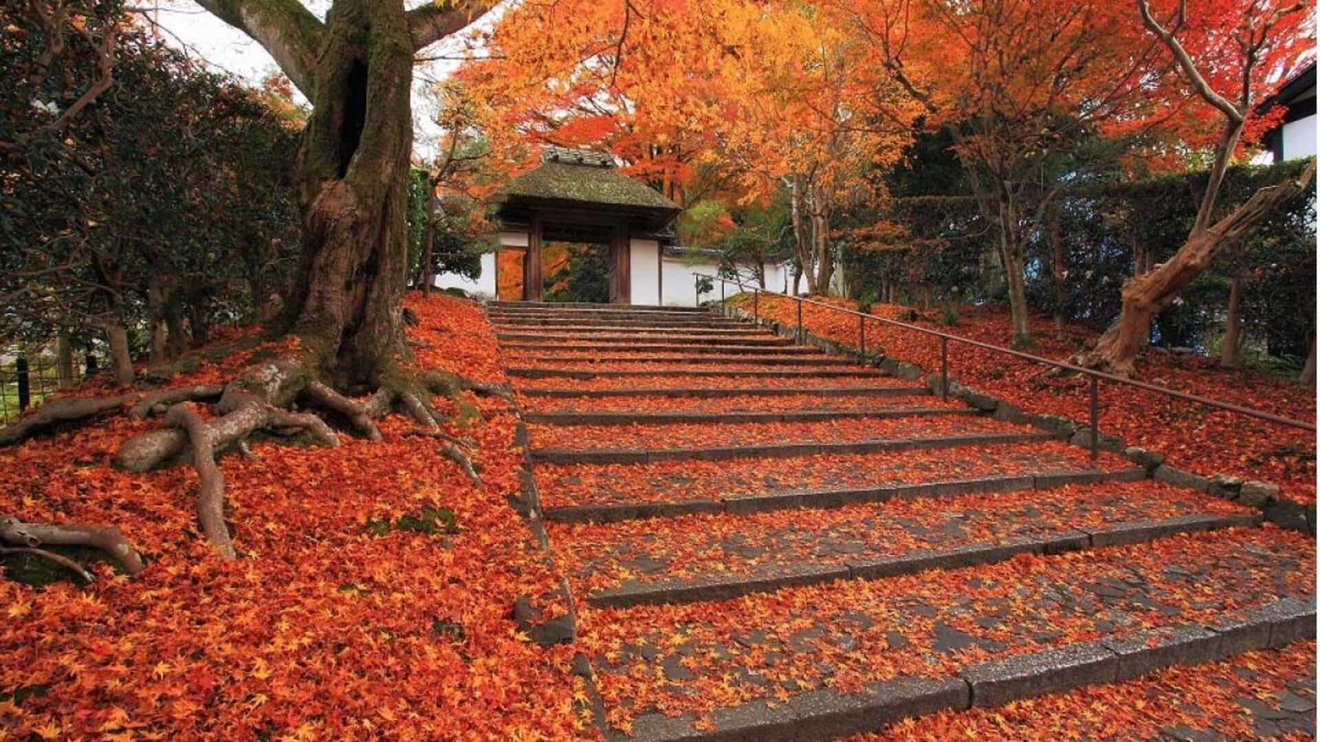 Kuil Bawah Tanah Yang Tersembunyi Di Kyoto