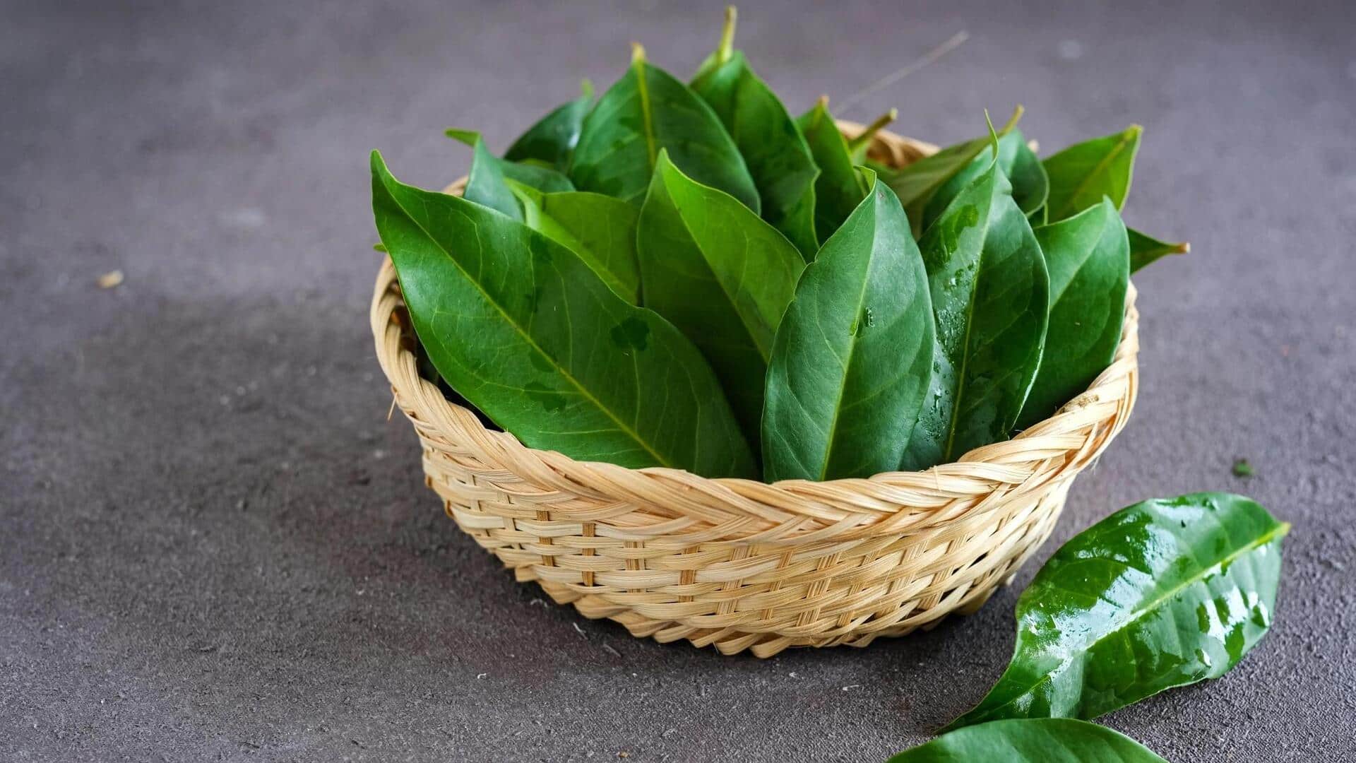 Bumbu Indonesia yang Mengubah Cita Rasa Hidangan Vegetarian Anda