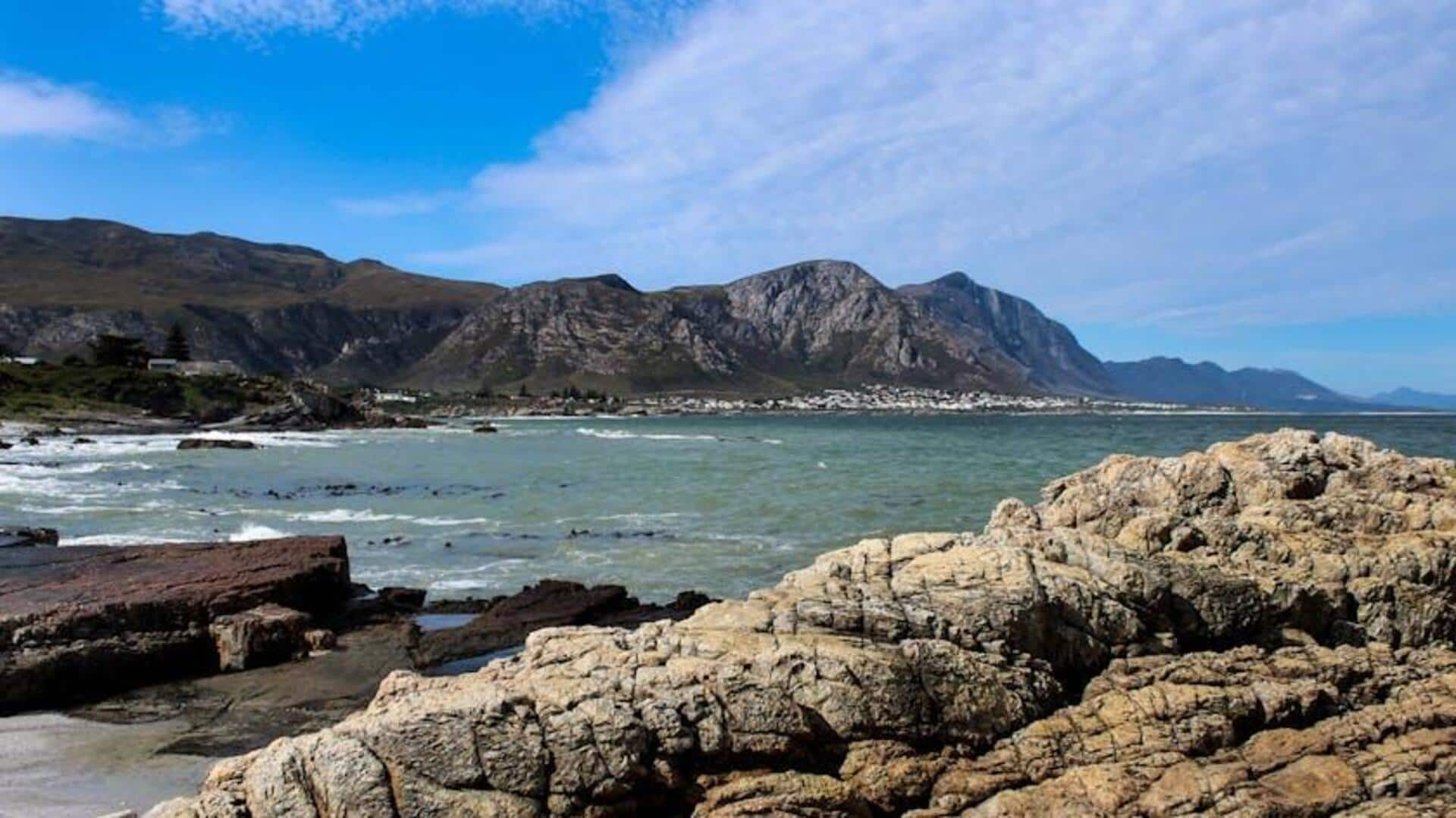 Menjelajahi Keindahan Fynbos dan Jalur Pesisir di Hermanus, Afrika Selatan