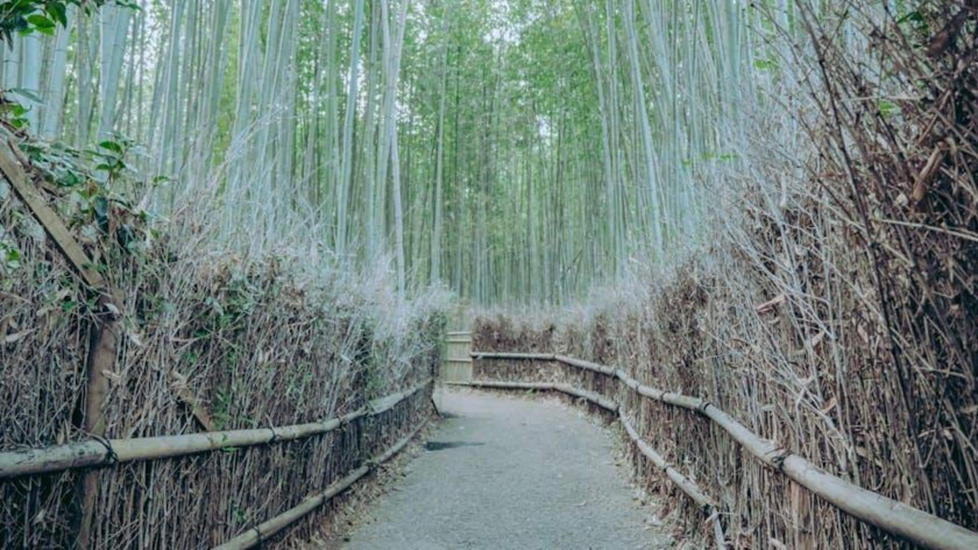 Lima Tempat Indah di Kyoto saat Musim Gugur