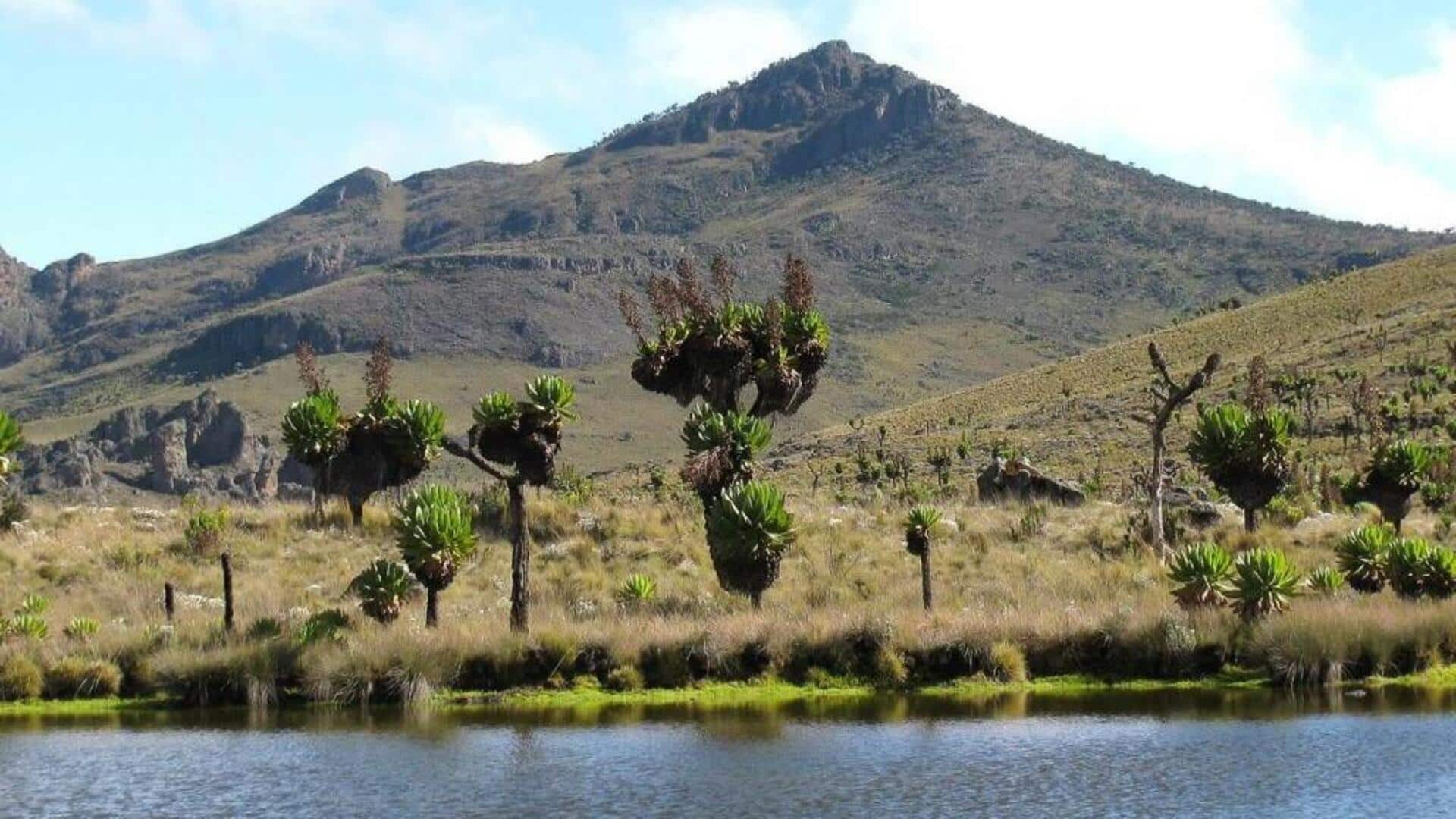 Menjelajahi Keindahan Taman Nasional Gunung Elgon, Uganda