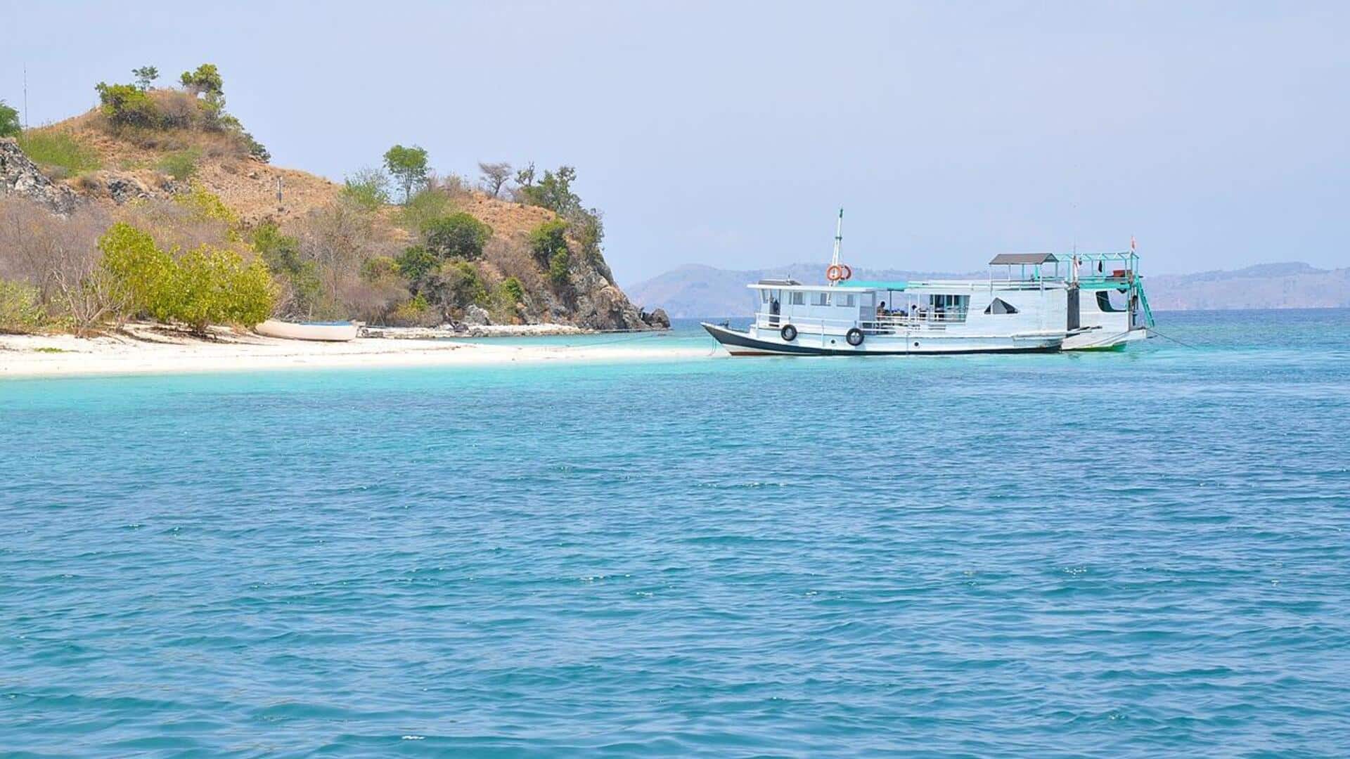 Teknologi Pulau: Inovasi Masyarakat Pedesaan Indonesia