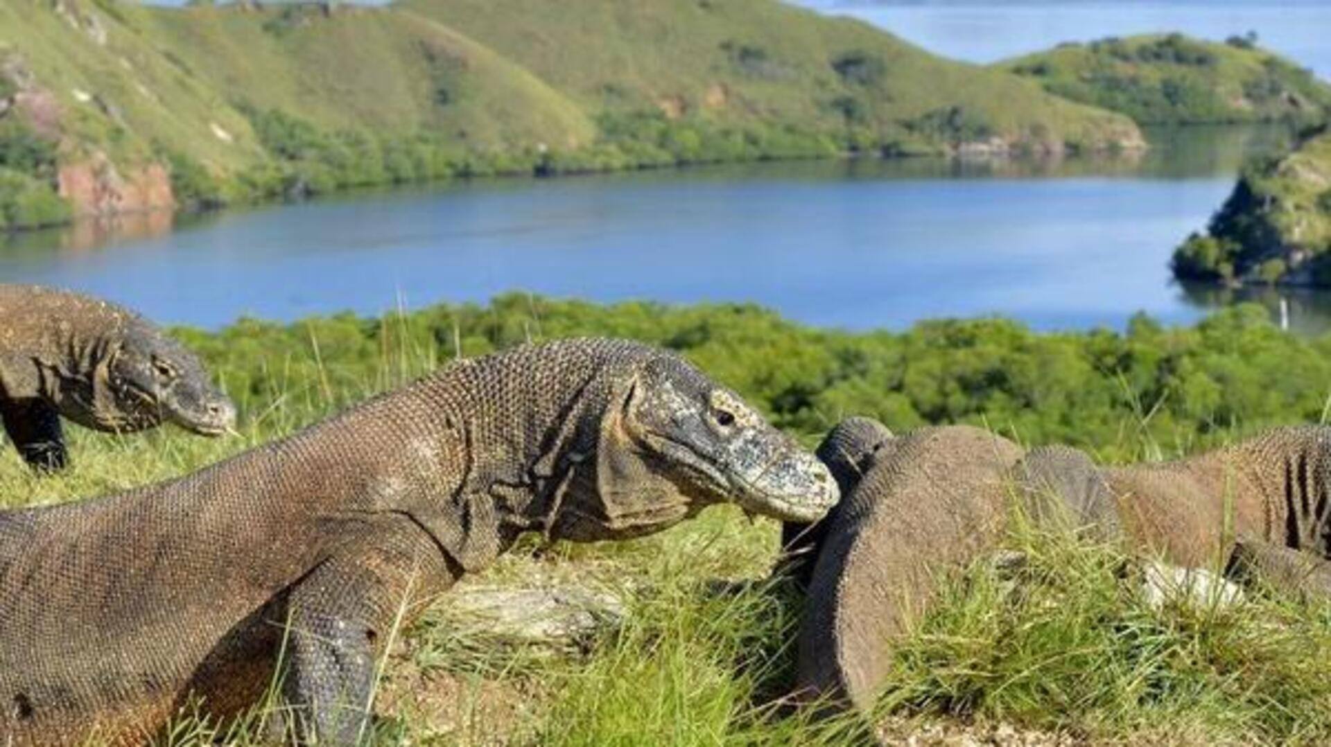 Lokasi syuting Hollywood tersembunyi di Indonesia