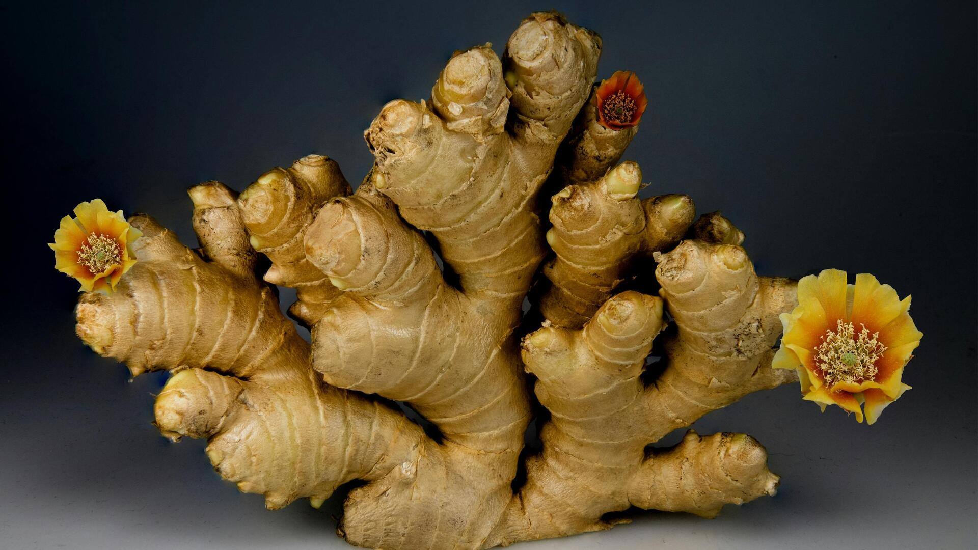 Lima Tumbuhan Beraroma Berbasis Akar untuk Kebun Rumah Anda