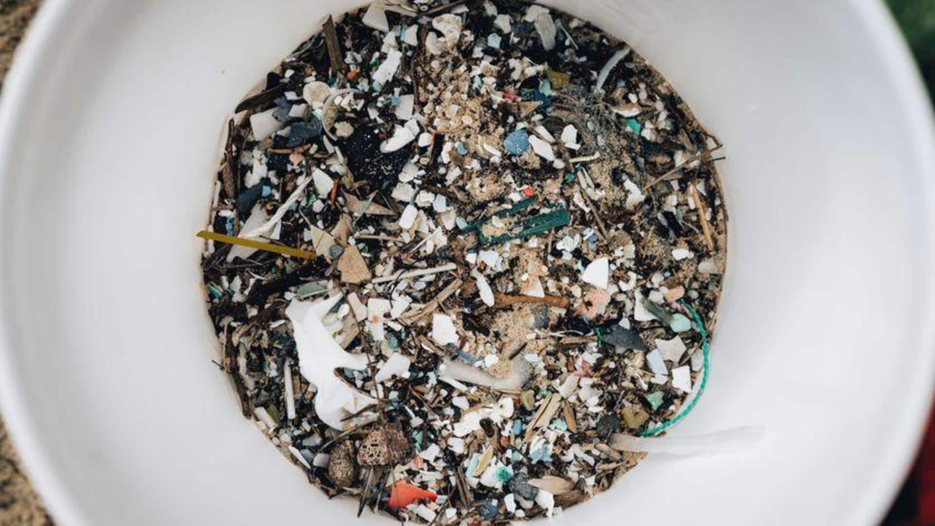Lokasi-Lokasi Mengejutkan Mikroplastik di Bumi