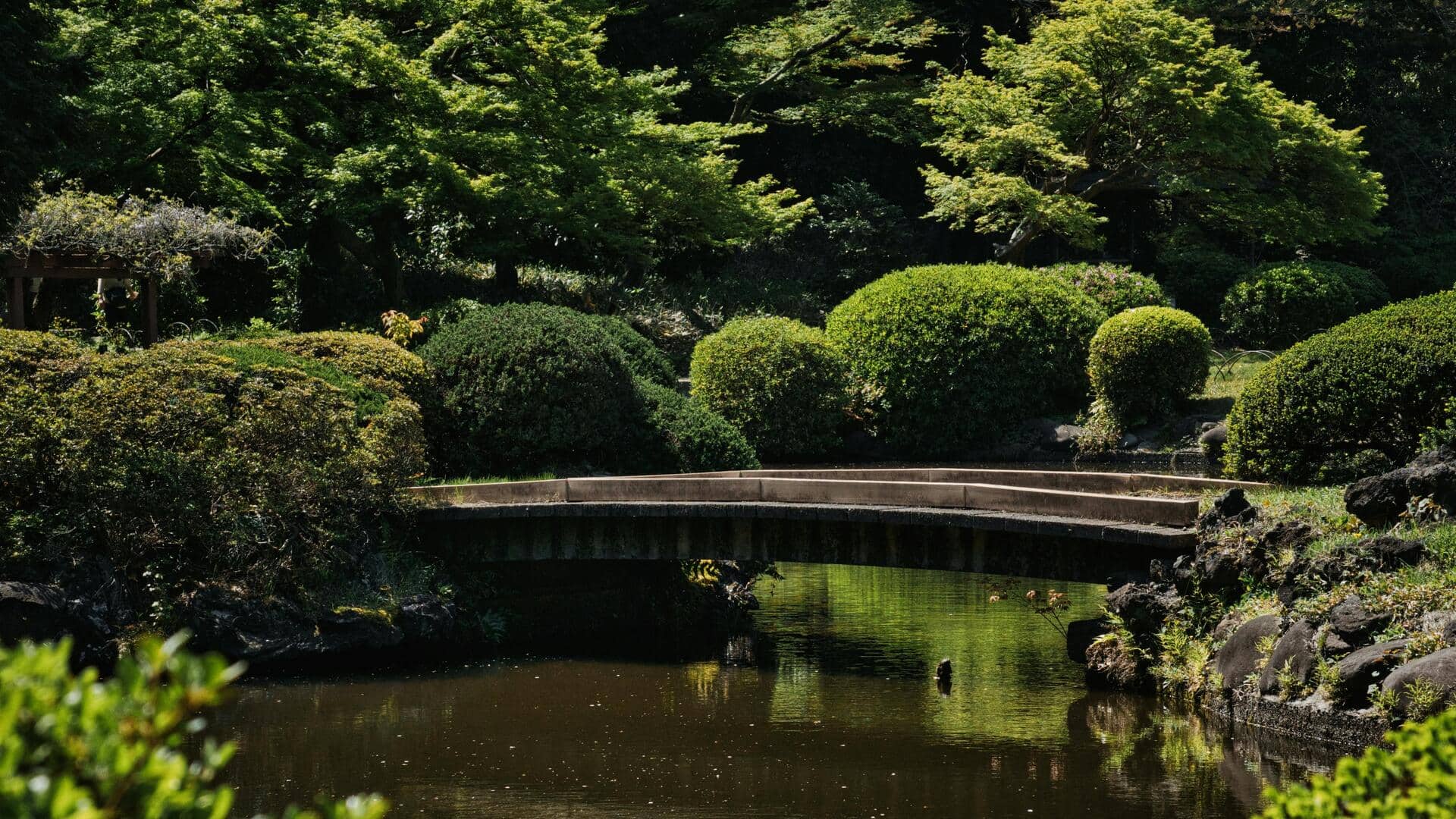 Taman Zen Rahasia di Tokyo untuk Relaksasi Taman Zen Rahasia di Tokyo untuk Relaksasi