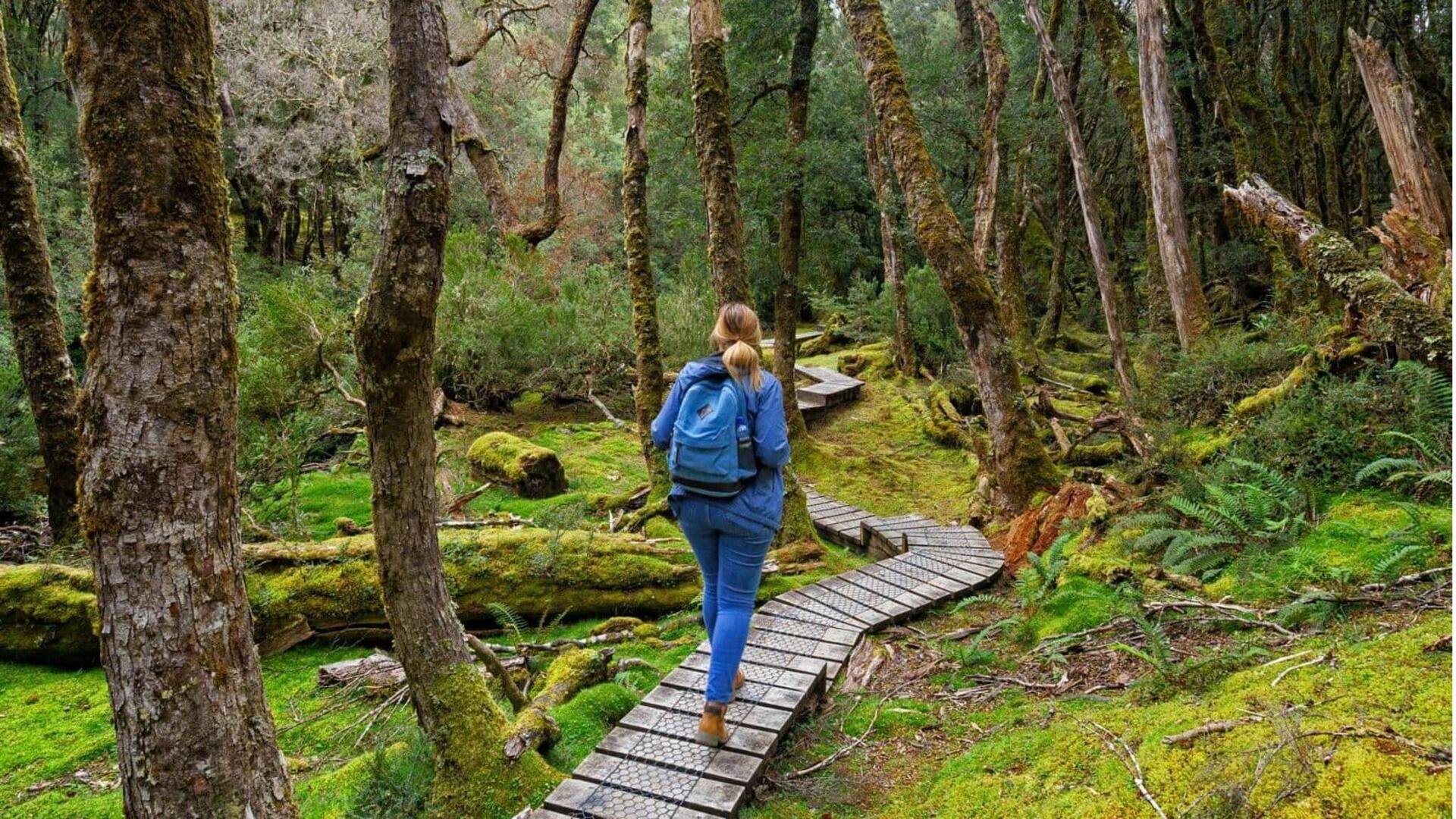 Mendaki Gunung Cradle Tasmania: Perencanaan, waktu kunjungan terbaik