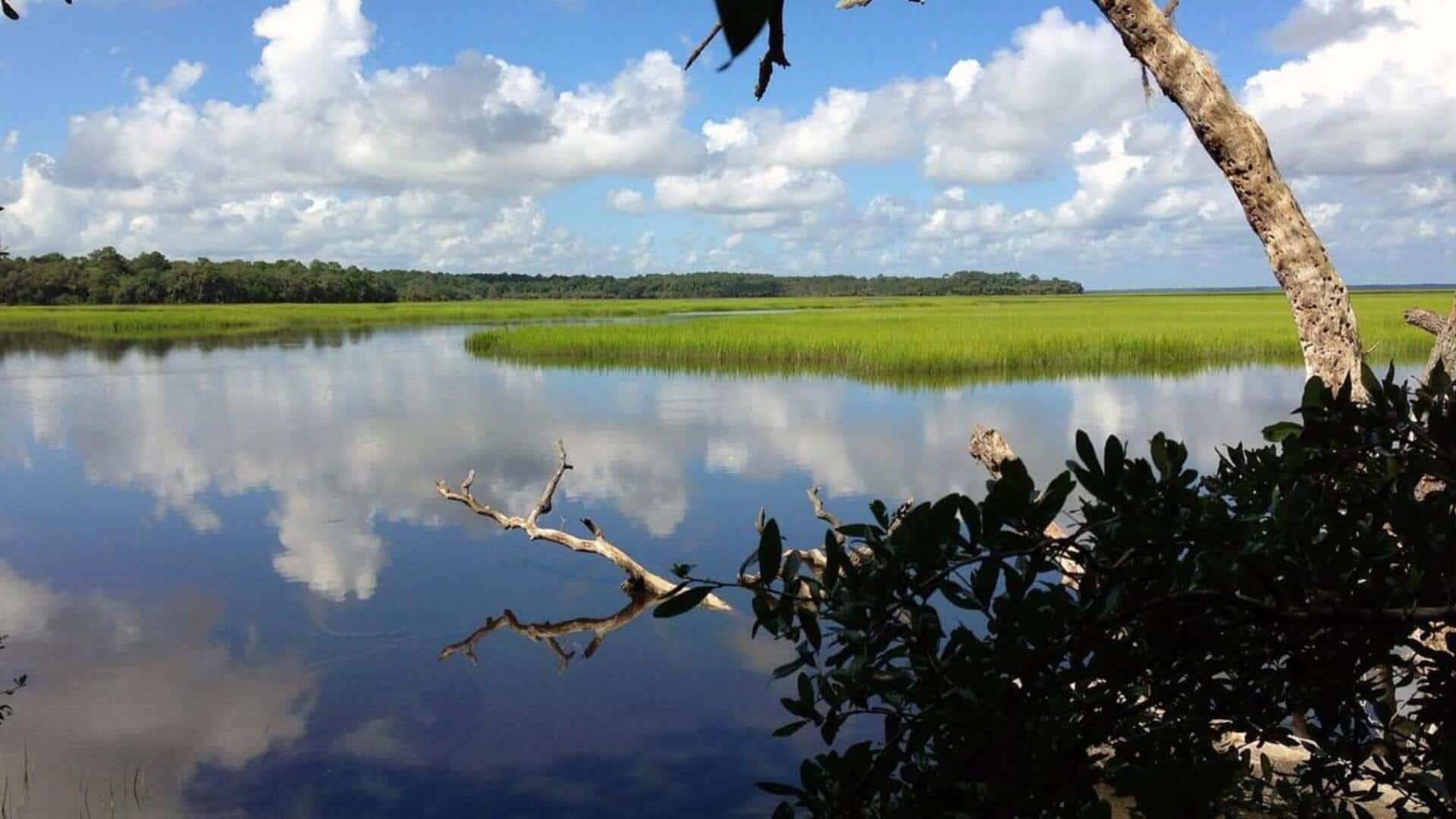 Pergilah ke permata pesisir Savannah 