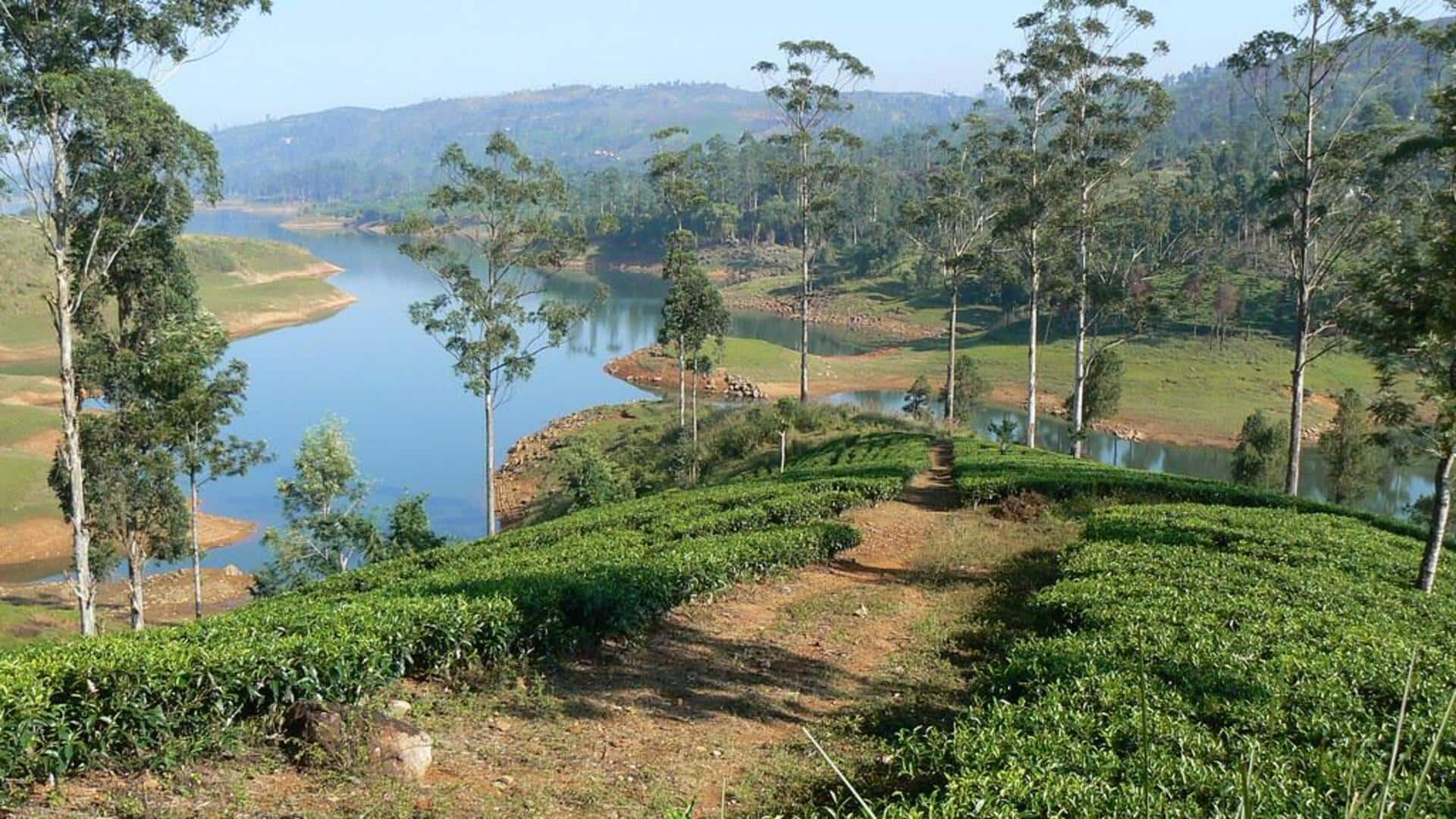 Menjelajahi keindahan Maskeliya, Sri Lanka