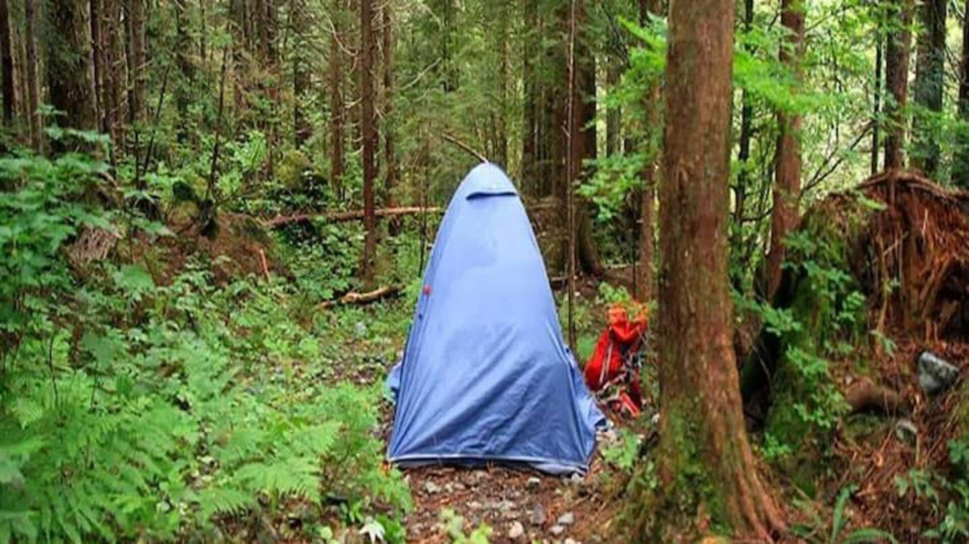 Perlengkapan Untuk Menunjang Perkemahan Di Hutan Hujan Vancouver Yang Aman