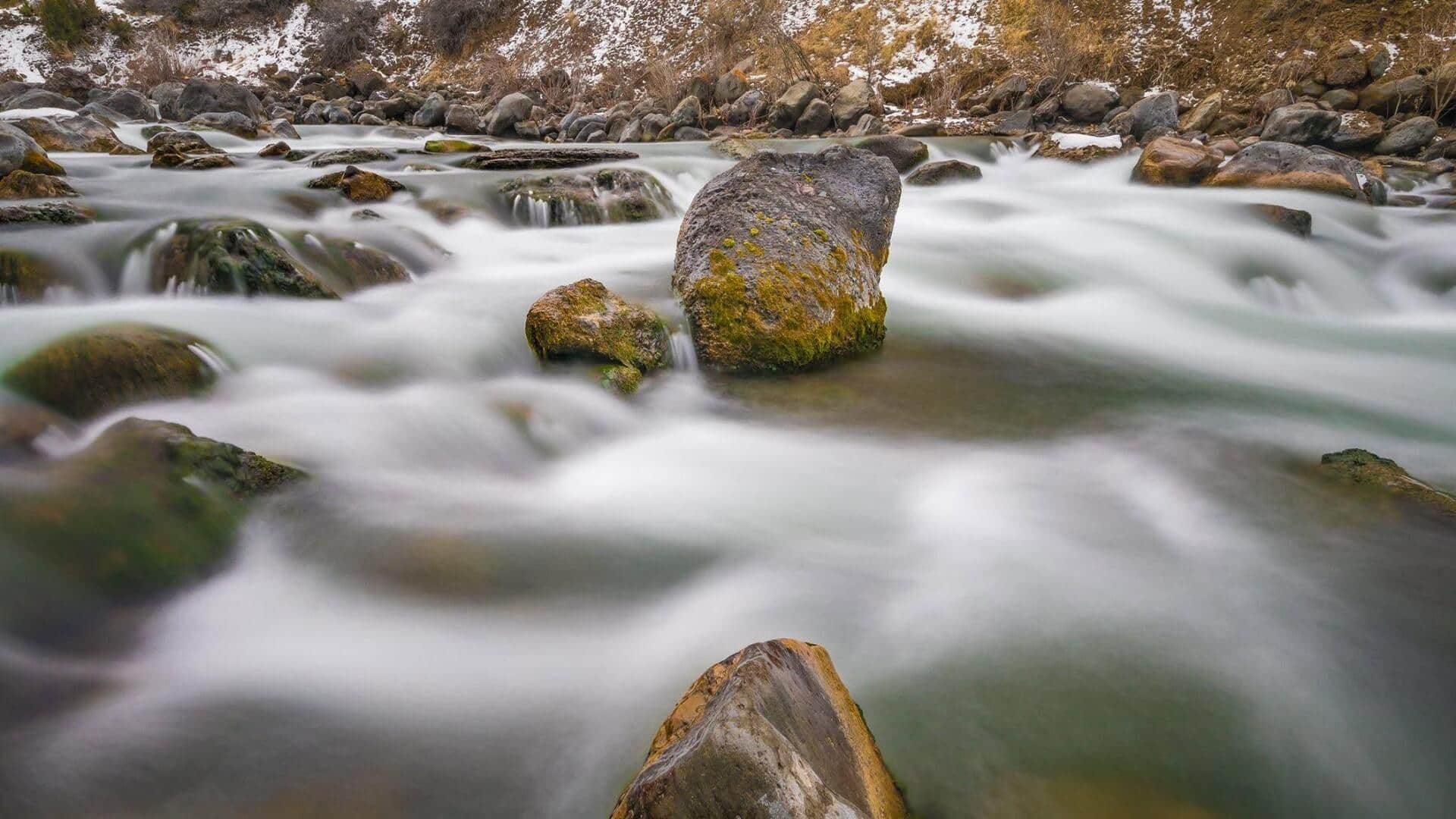 5 Tips Fotografi untuk Mengabadikan Pola Abstrak di Alam