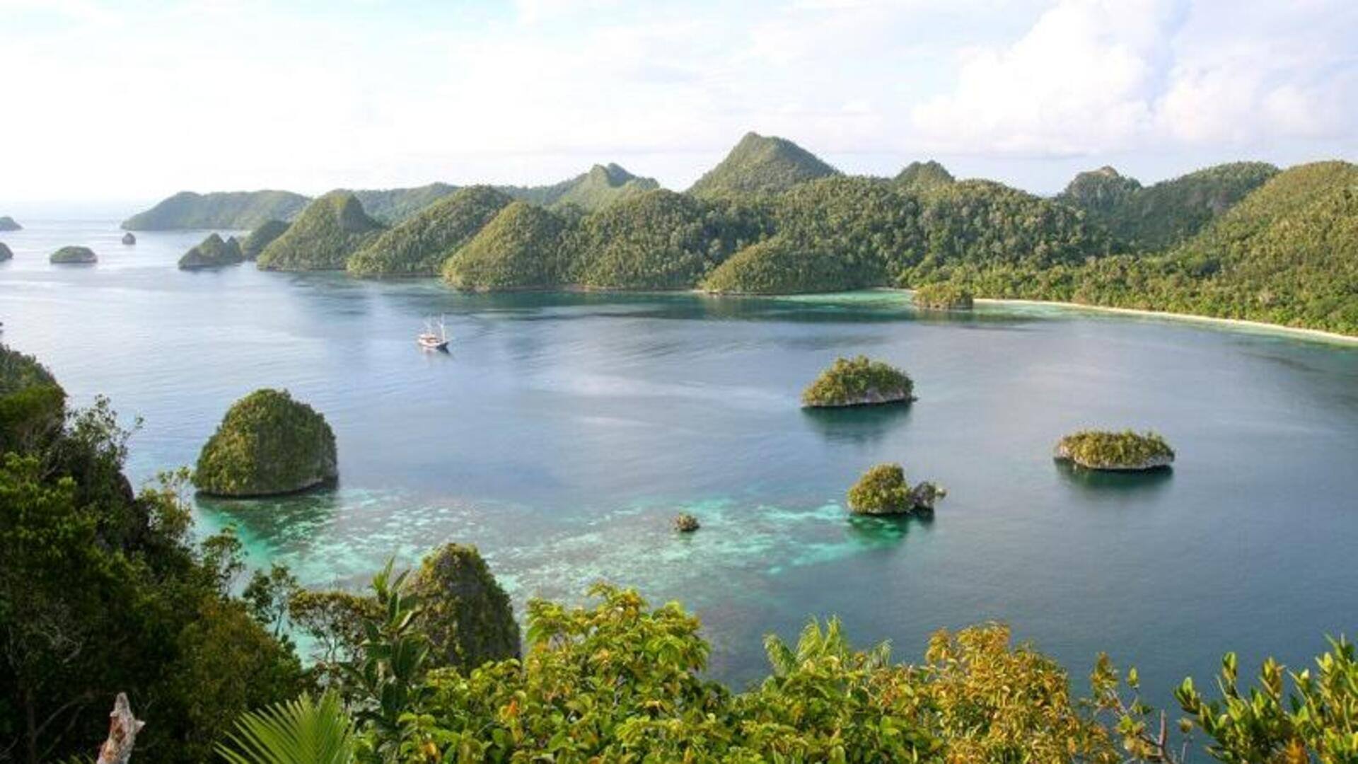 Keindahan ekosistem tersembunyi di Raja Ampat Keindahan ekosistem tersembunyi di Raja Ampat