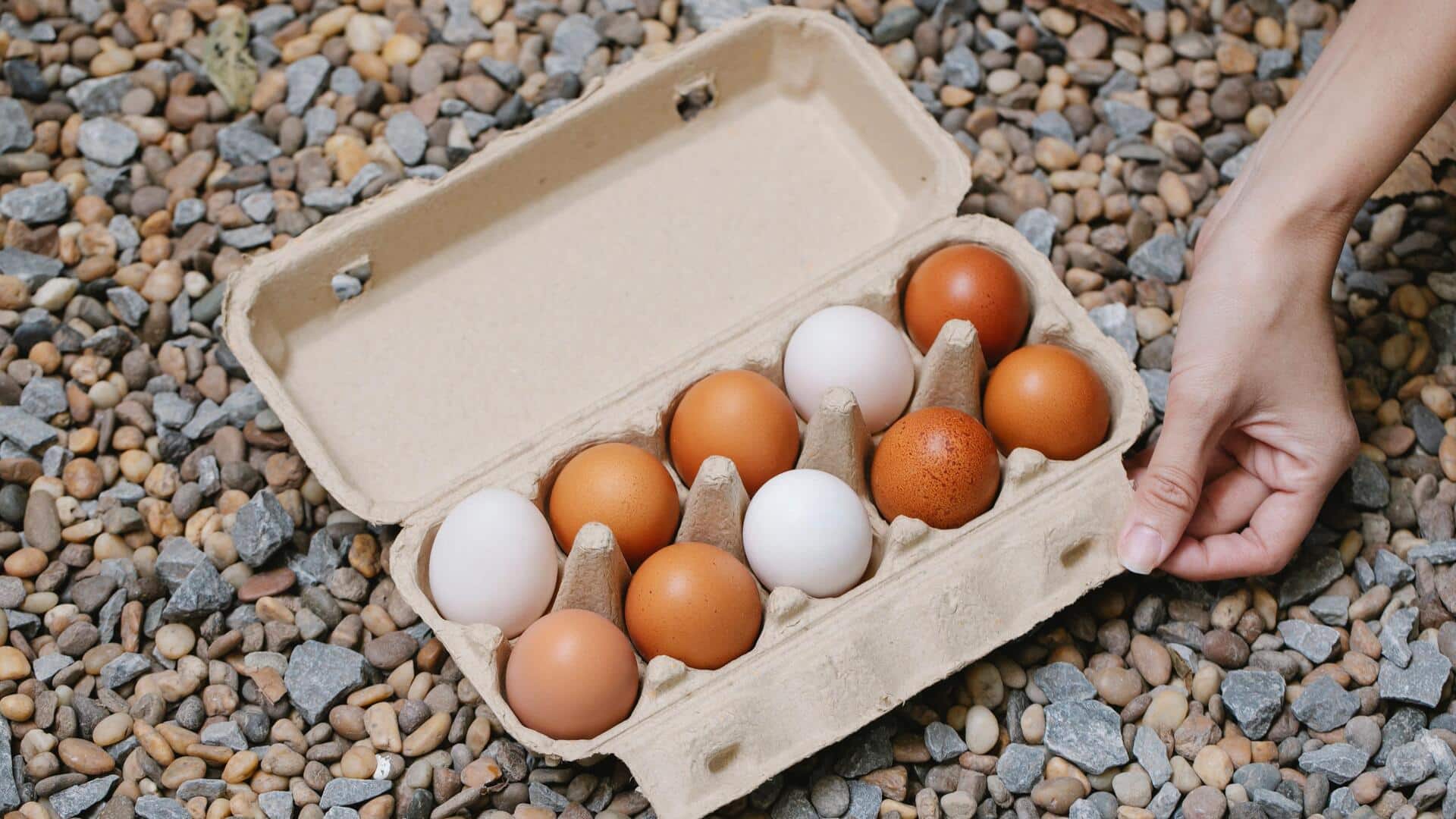 Hiasan ramah lingkungan dengan karton telur