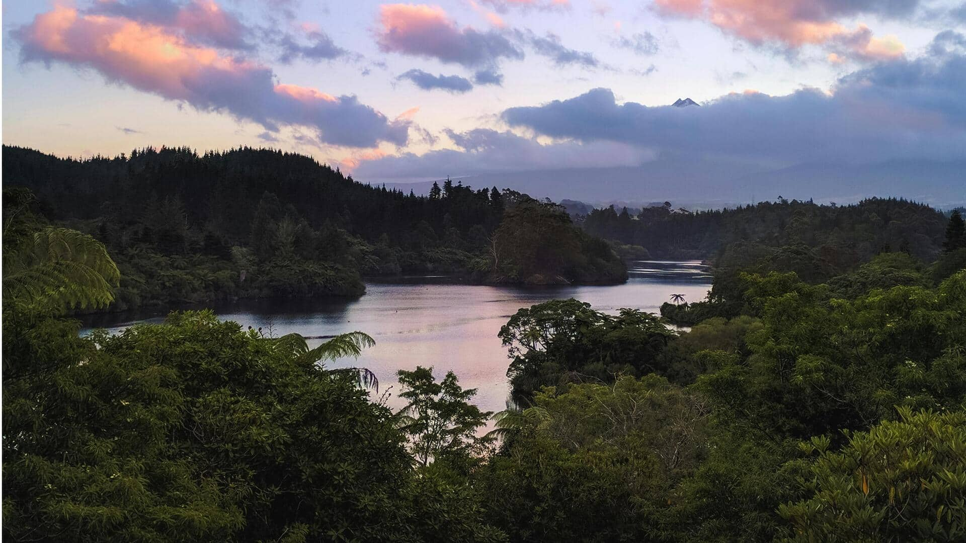 Menjelajahi Keindahan Sungai Whanganui, Selandia Baru