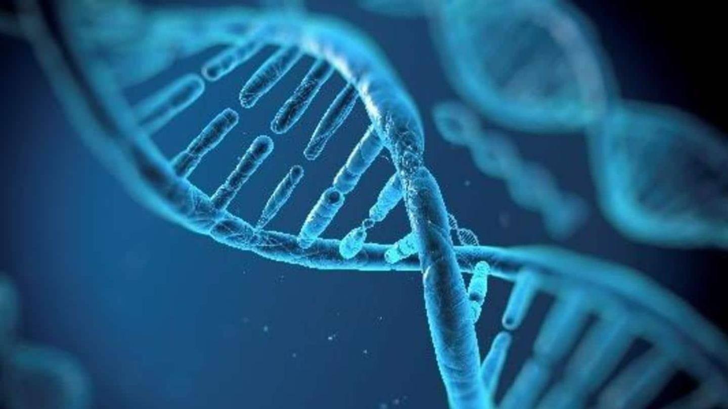 Teknologi ekstraksi DNA MagGenome tawarkan solusi inovatif