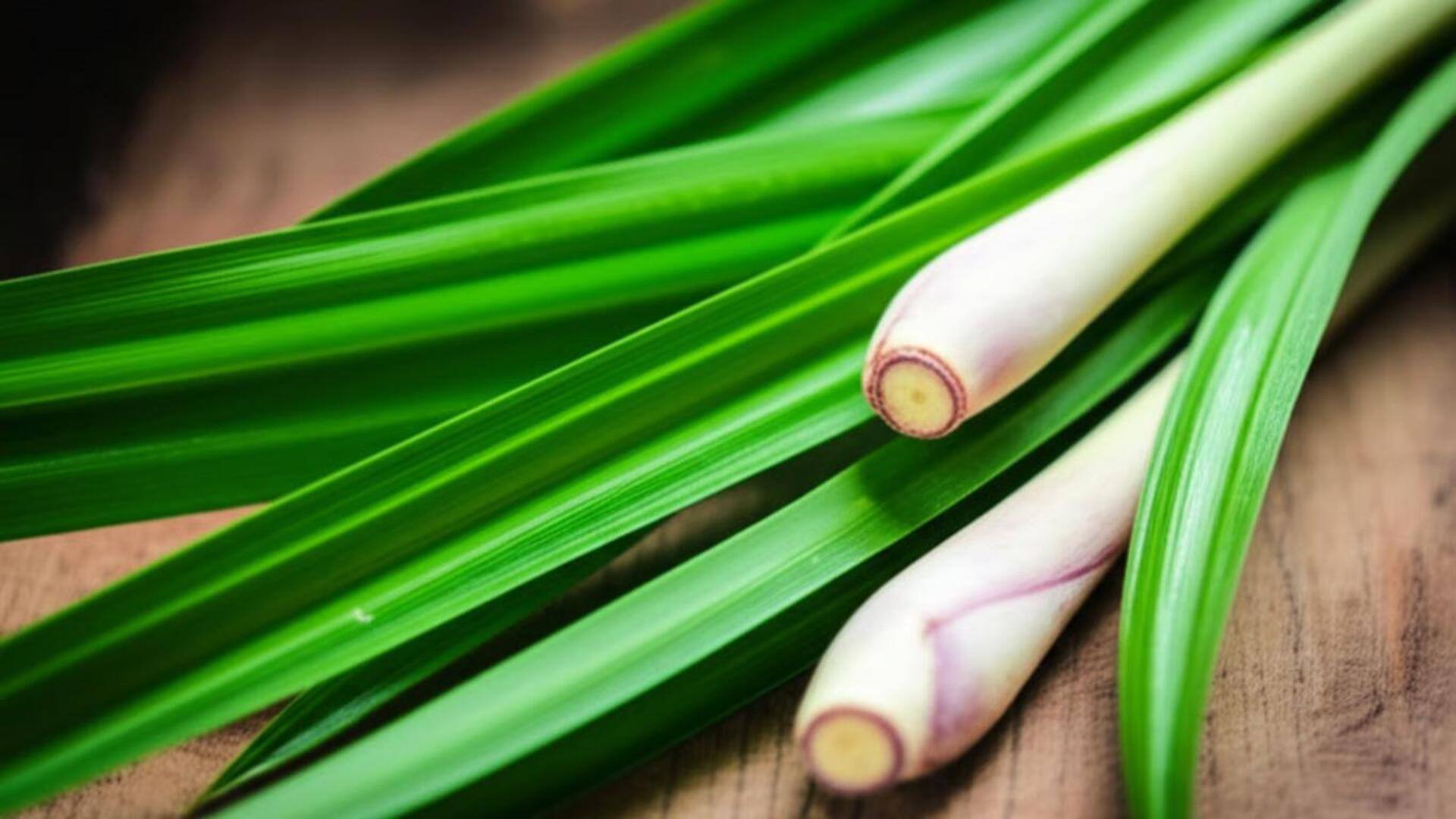 Rempah Unik yang Meningkatkan Cita Rasa Hidangan Vegetarian Indonesia