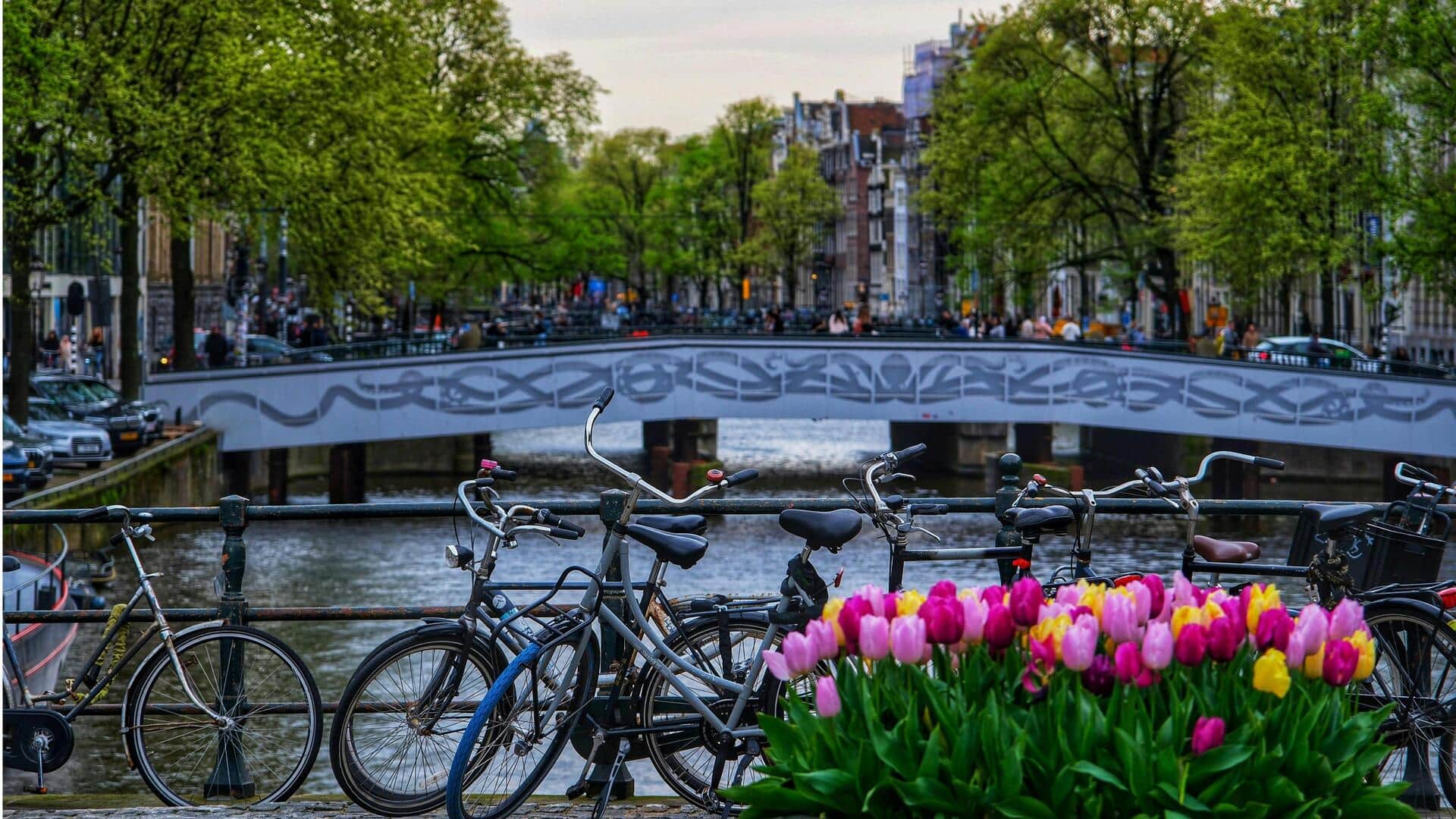Petualangan Bersepeda di Amsterdam: Rute dan Tips Terbaik