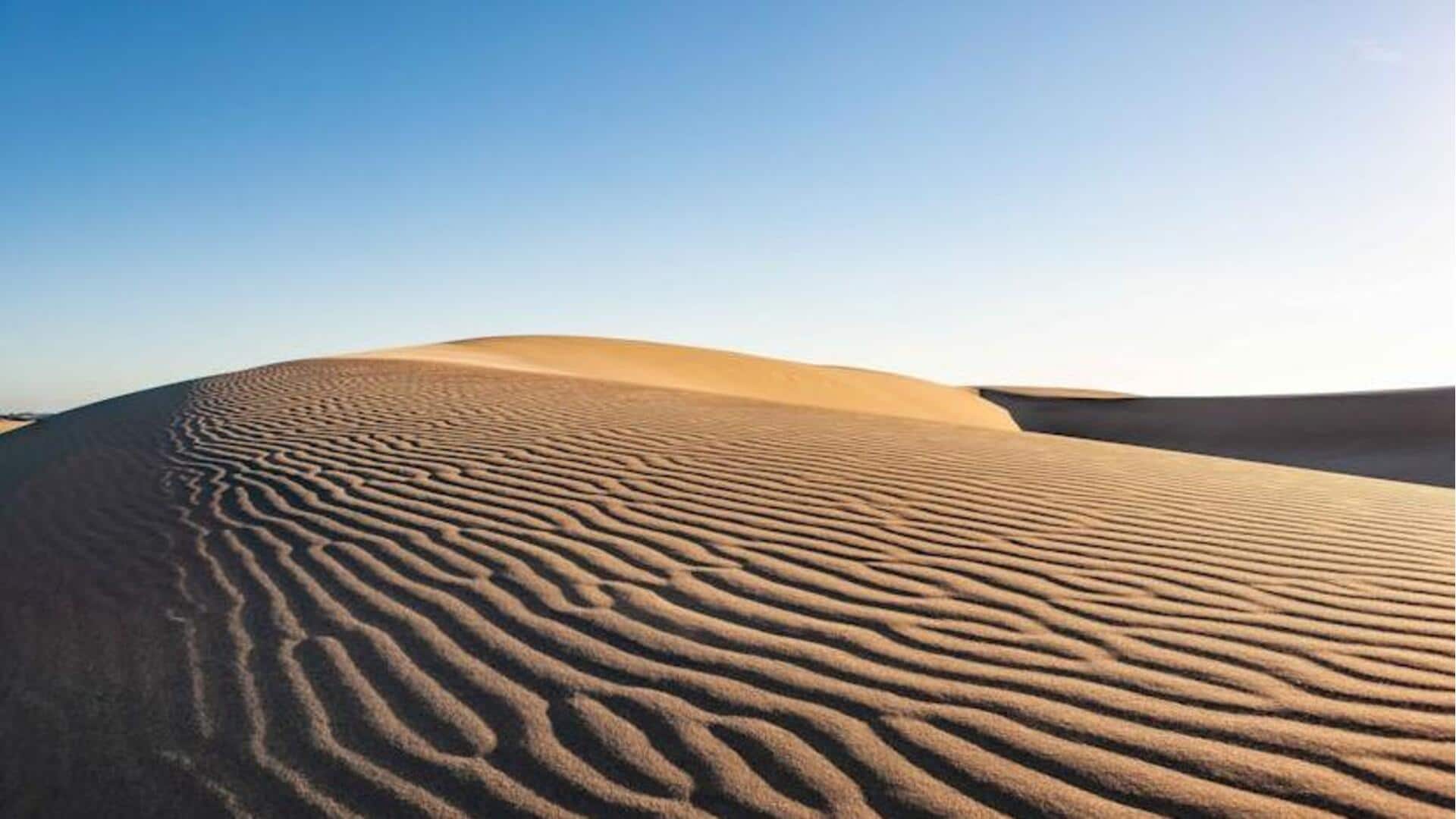 Mengunjungi Gurun Sahara? Jangan lupa membawa barang-barang ini