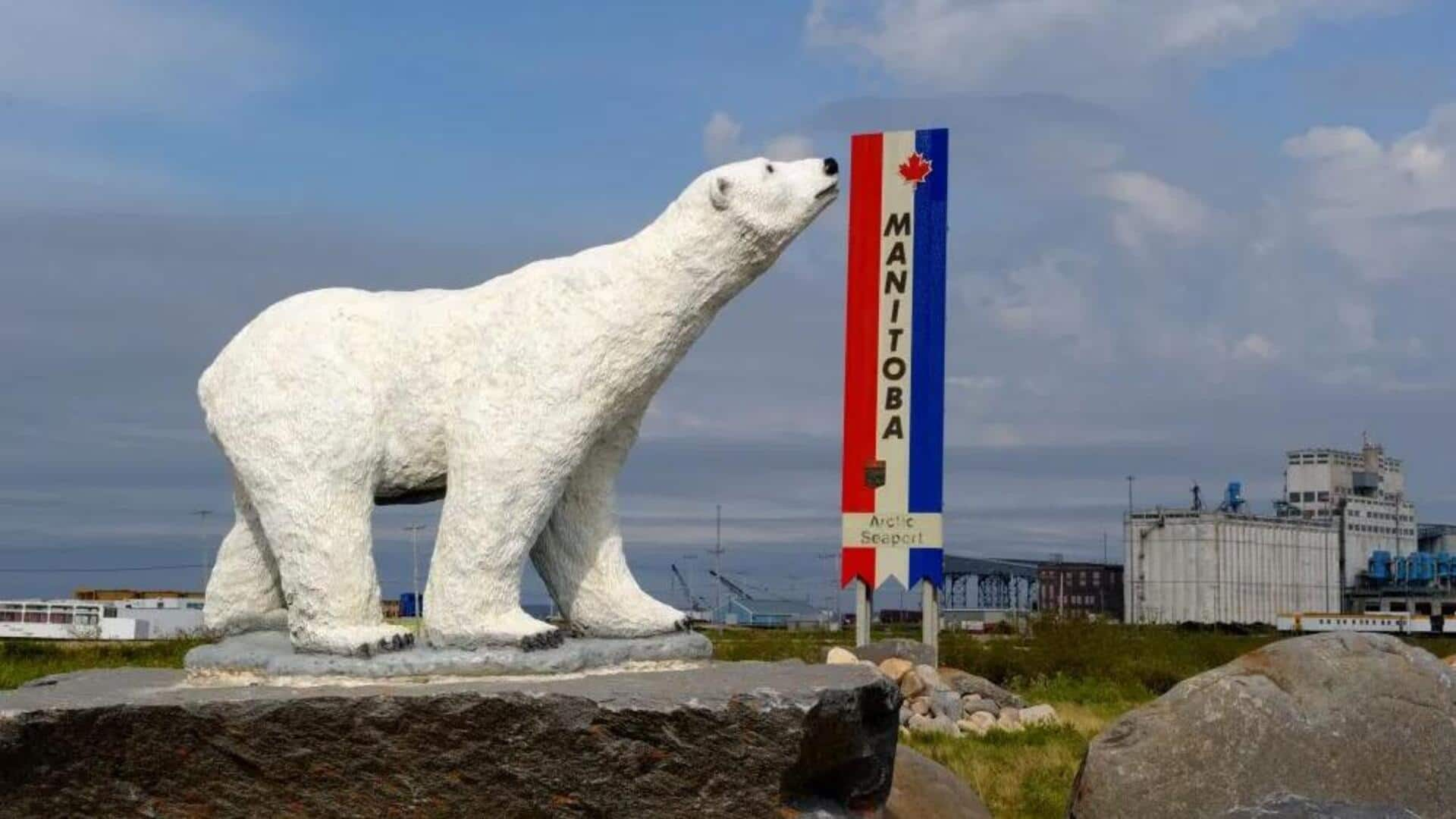 Menjelajahi Keajaiban Churchill, Manitoba, Kanada