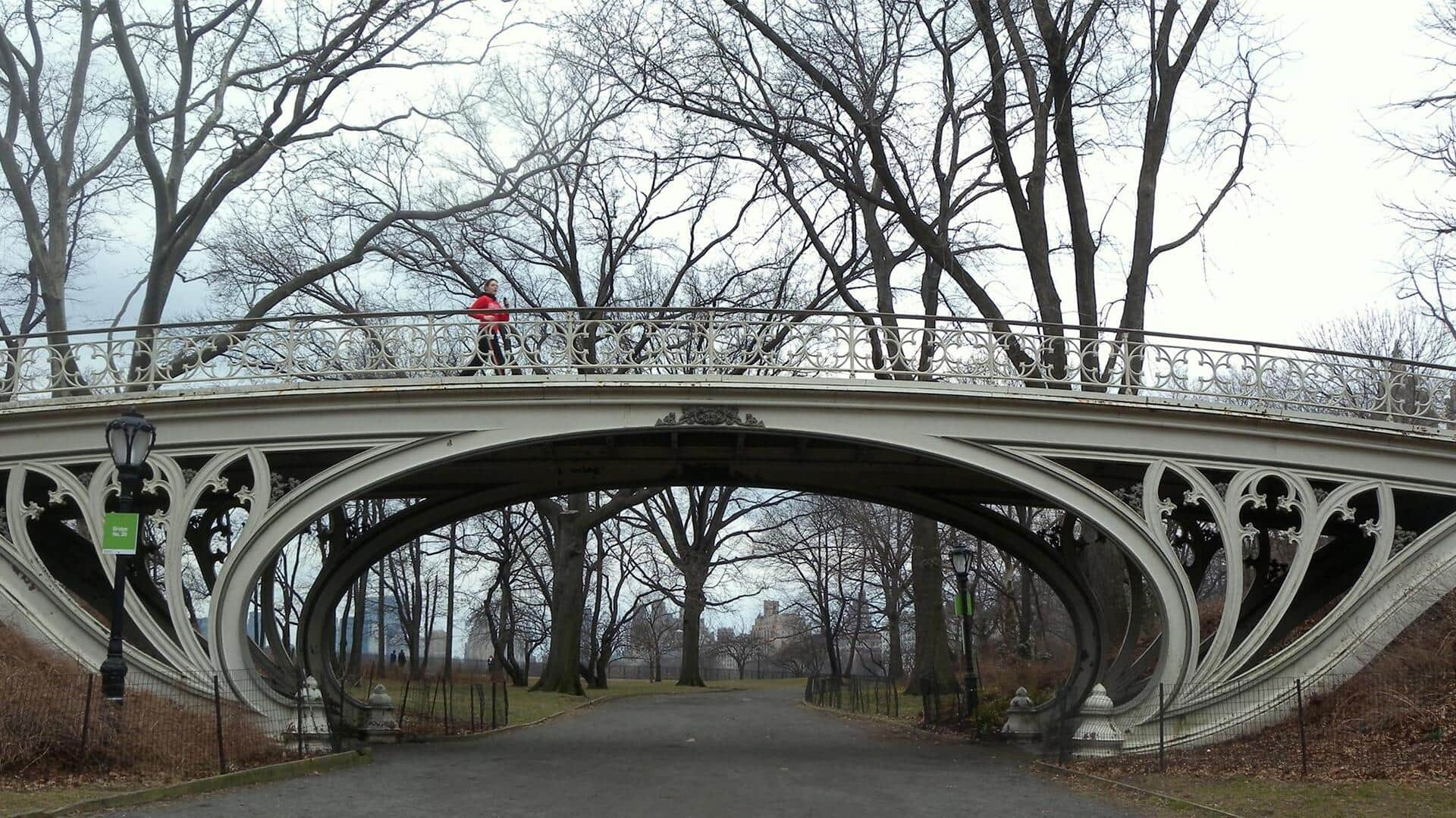 Jembatan Taman Bergaya Gothic Revival: Ornamen Taman dengan Elegansi Dramatis