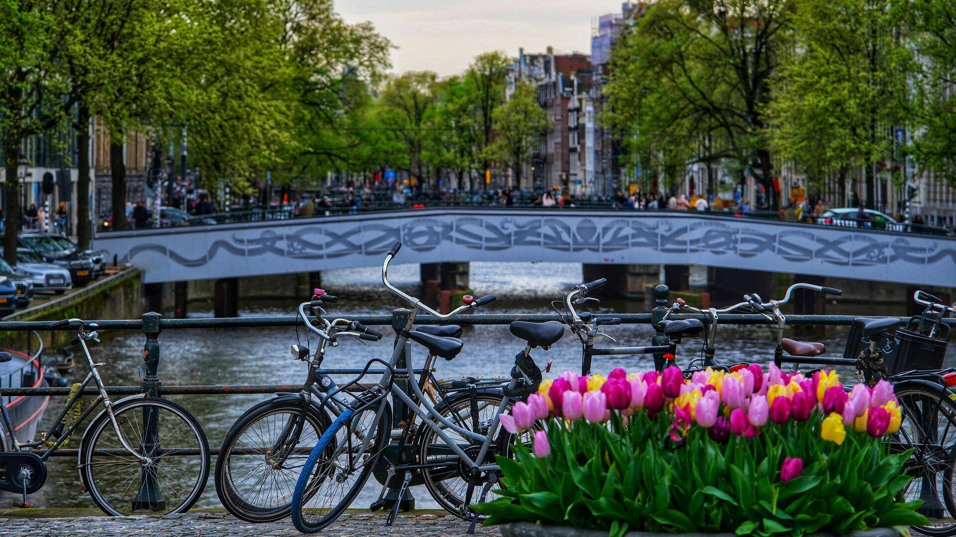 Jalur Sepeda Surya di Belanda: Revolusi Mobilitas Hijau