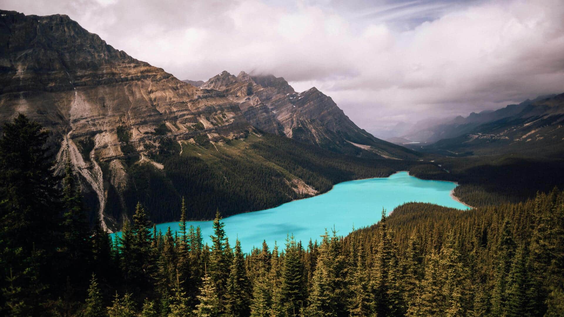 Menikmati Daun Musim Gugur Kanada: Rute Pemandangan Terbaik