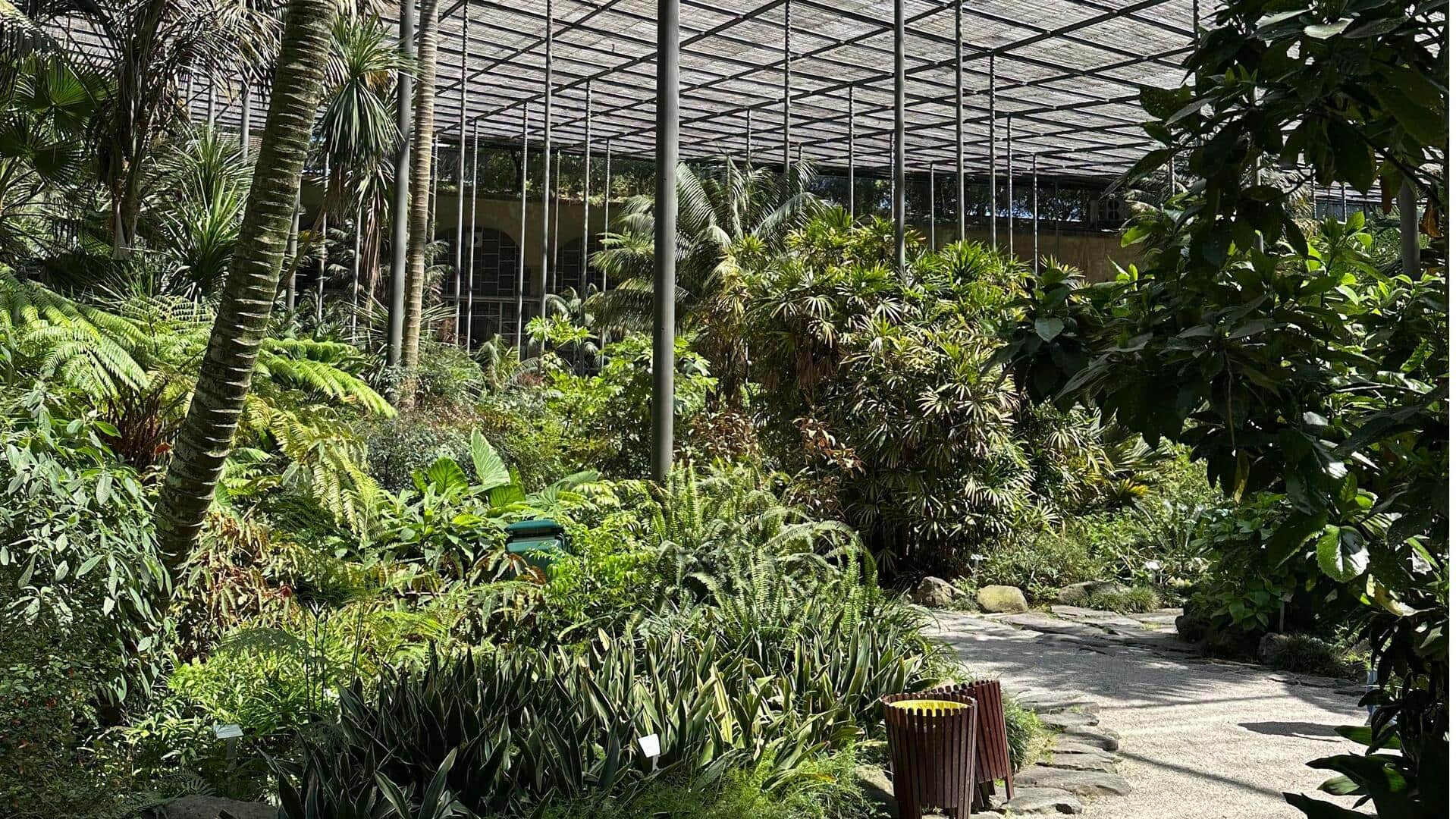 Menemukan Taman Tersembunyi di Lisbon untuk Pelarian Tenang