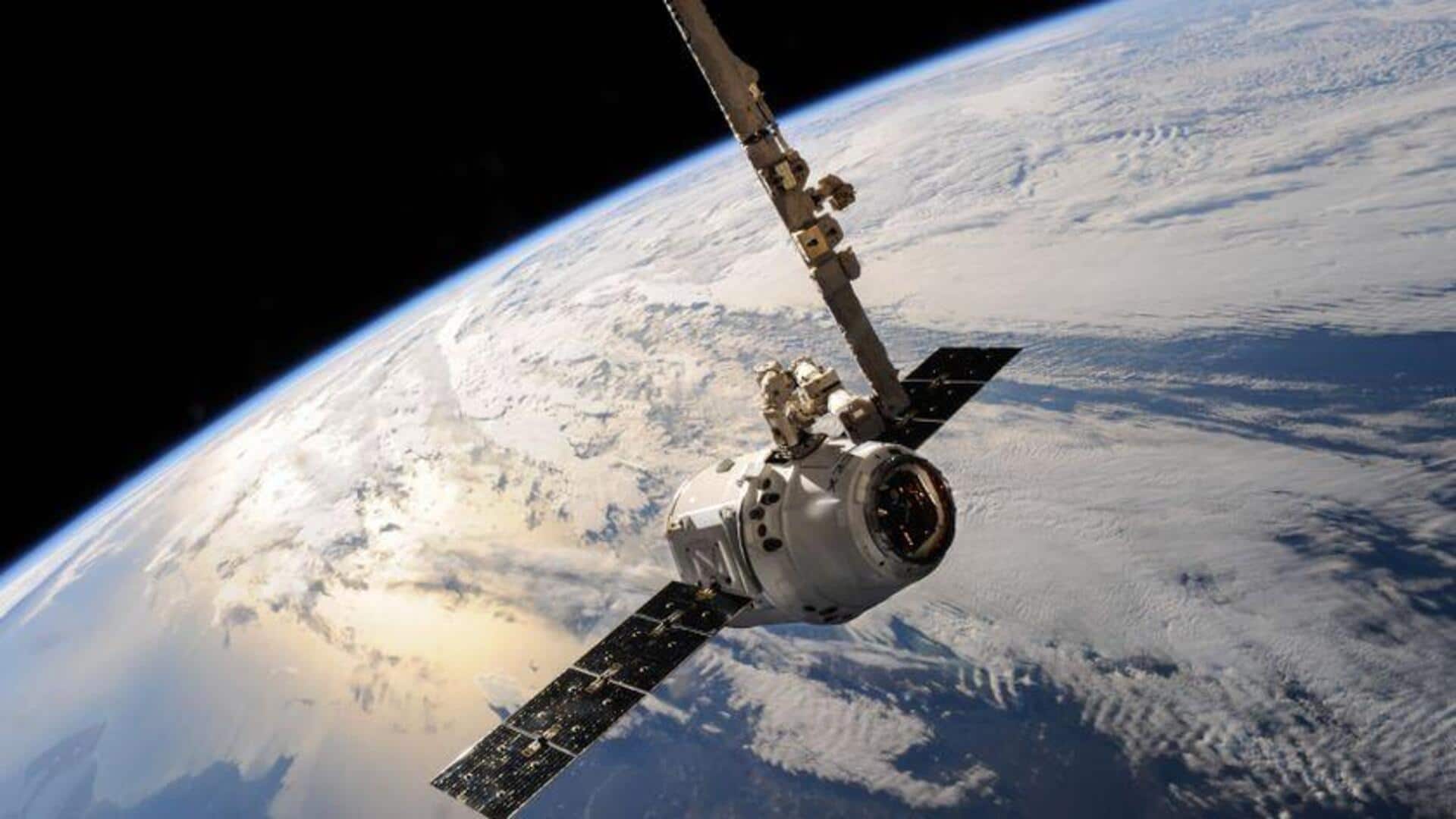 Teknologi Satelit untuk Lindungi Spesies Terancam Punah