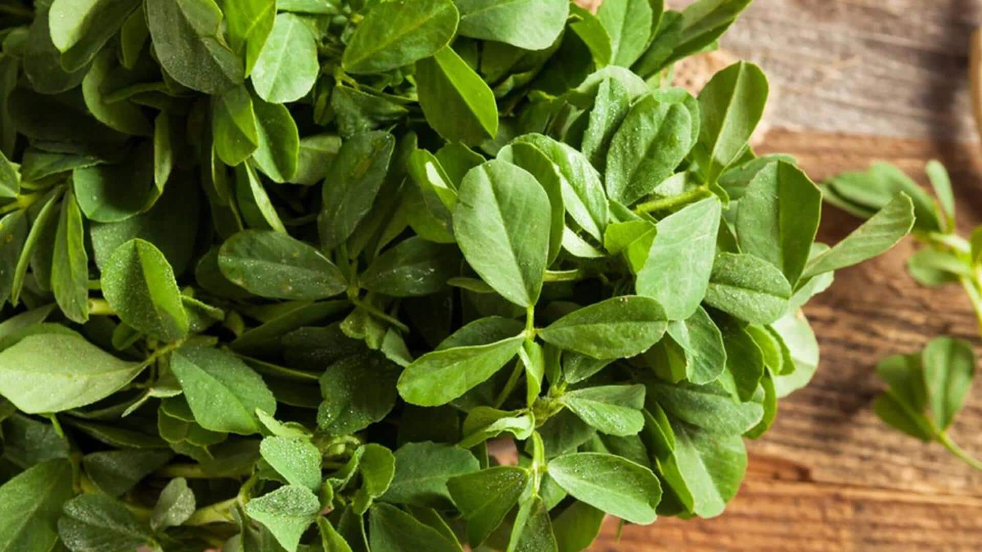 Beragam Kandungan Nutrisi Dalam Daun Fenugreek