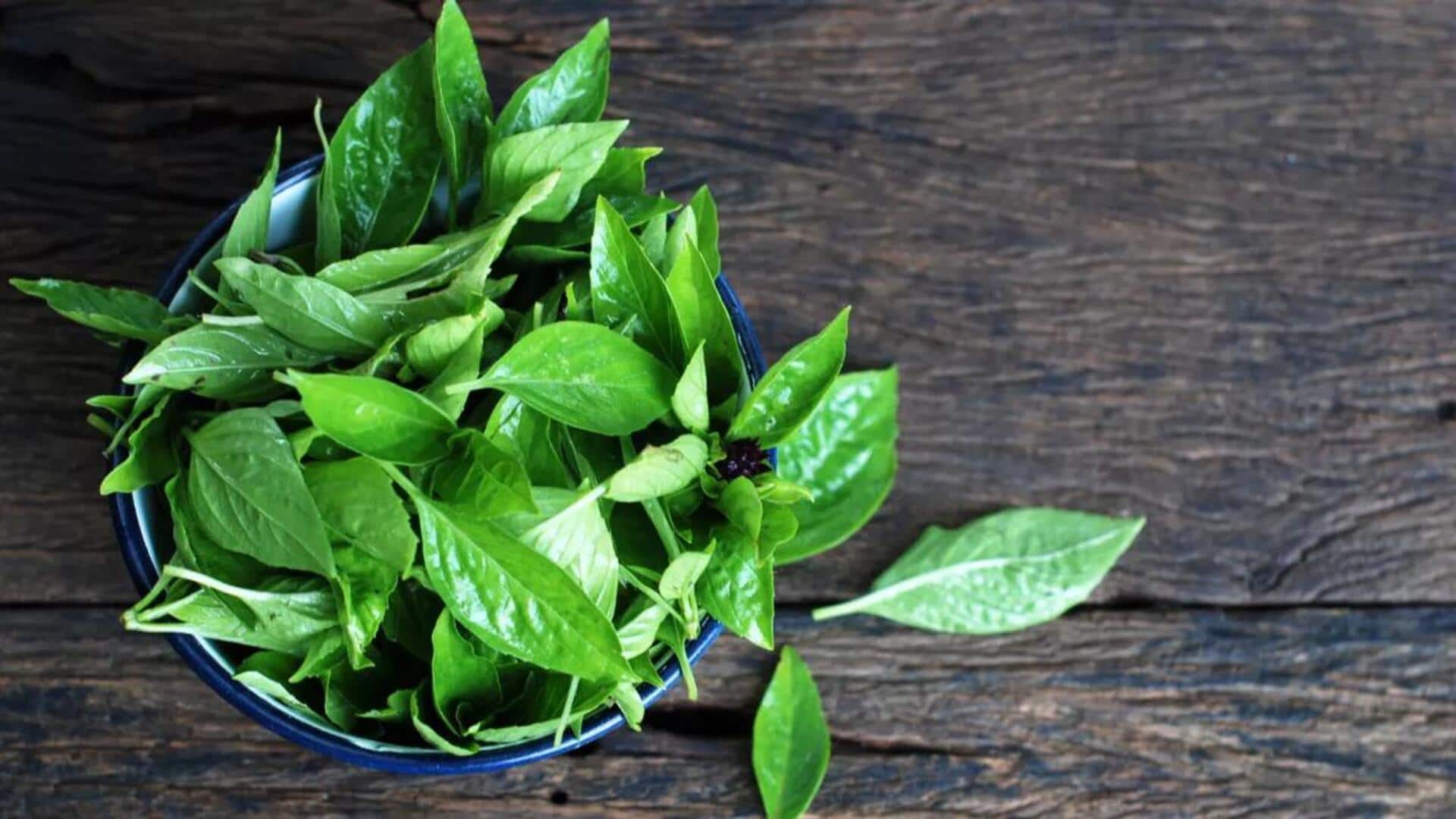 Keajaiban Kemangi dalam Mengubah Cita Rasa Hidangan Manis