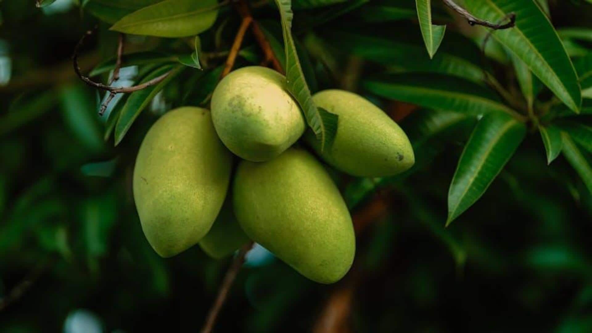 Pohon Buah Asli: Cangkok untuk Varietas Unik di Taman Pohon Buah Asli: Cangkok untuk Varietas Unik di Taman