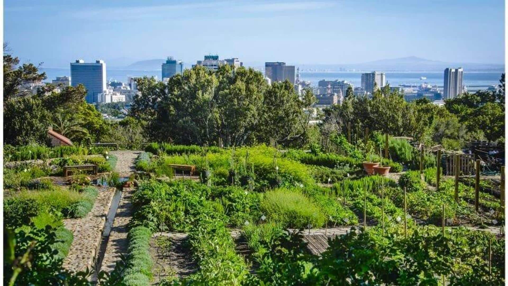 Kunjungi tempat peristirahatan perkotaan yang tersembunyi di Cape Town