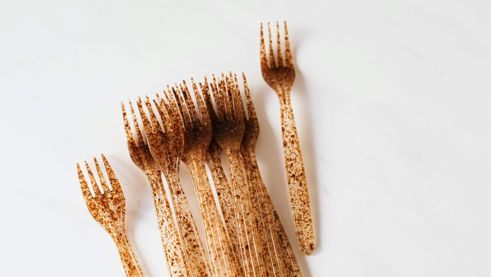 Temukan Lima Wawasan Hijau tentang Bioplastik