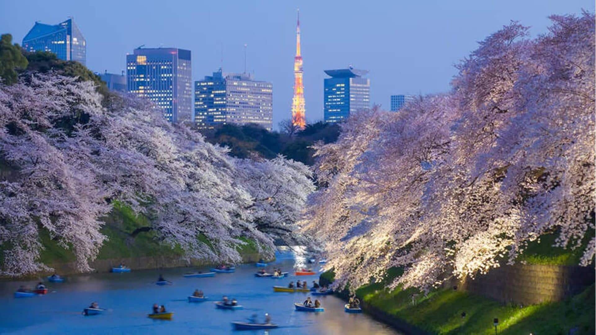 Menikmati pemandangan bunga sakura di Tokyo: Tempat terbaik dan kegiatan yang dapat dilakukan