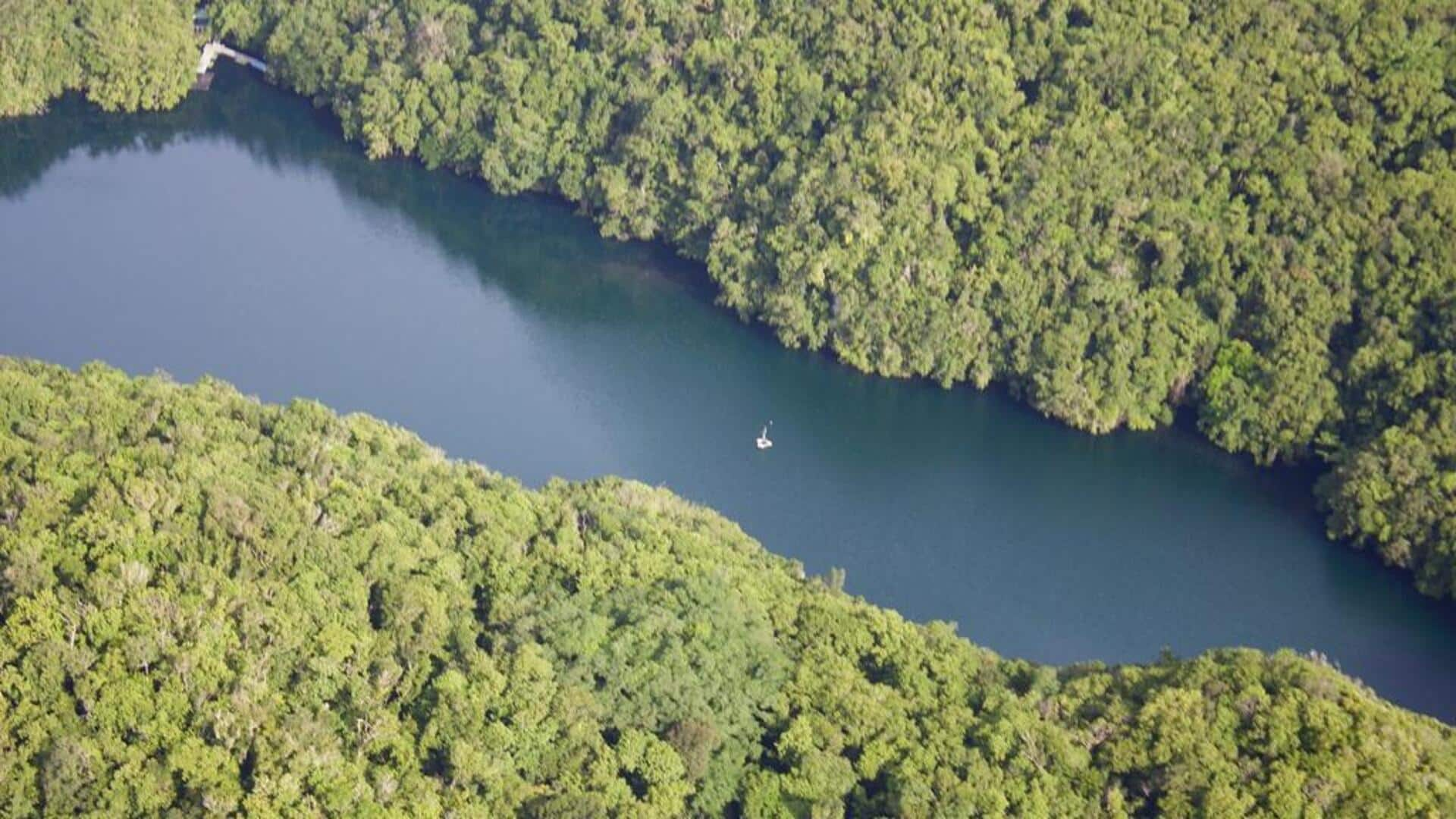 Menyelami keindahan Danau Ubur-ubur di Palau