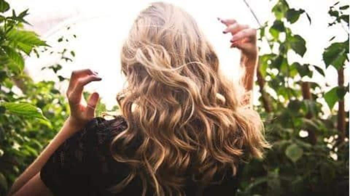Manfaat minyak malapari untuk kesehatan rambut Manfaat minyak malapari untuk kesehatan rambut
