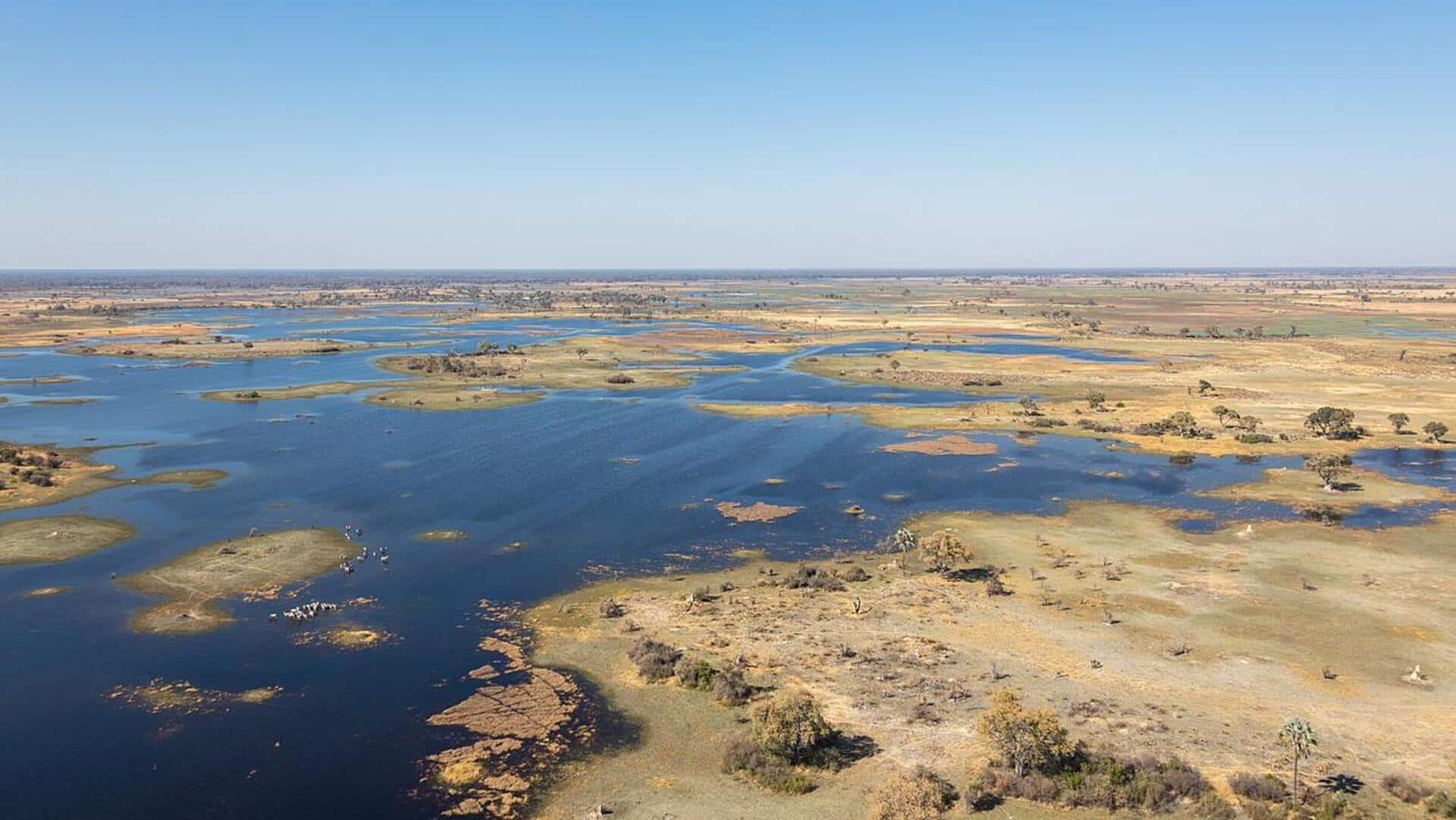 Keajaiban Unik Delta Okavango di Botswana