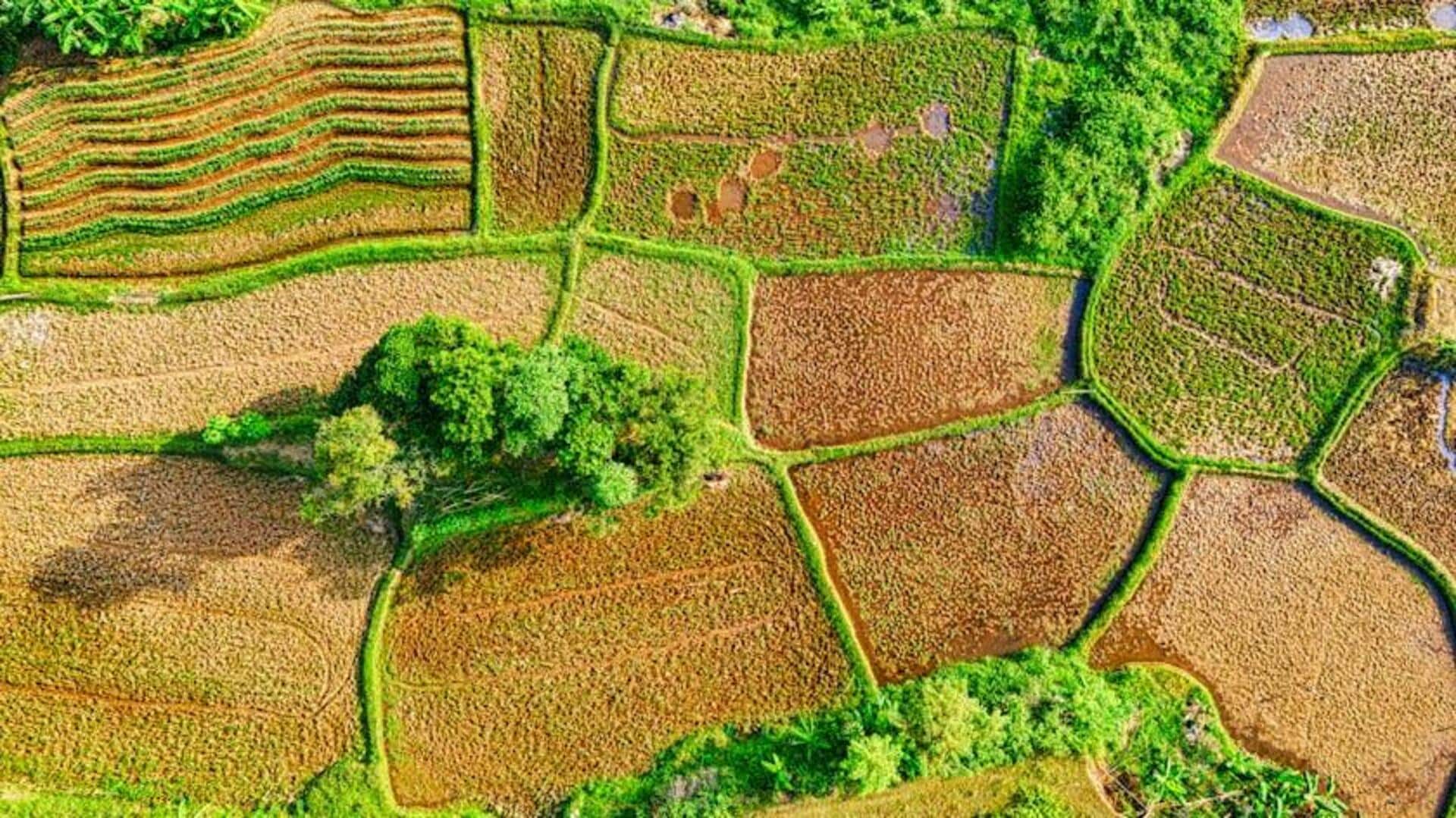 Pengusaha Drone Pertanian yang Merevolusi Penggunaan Teknologi