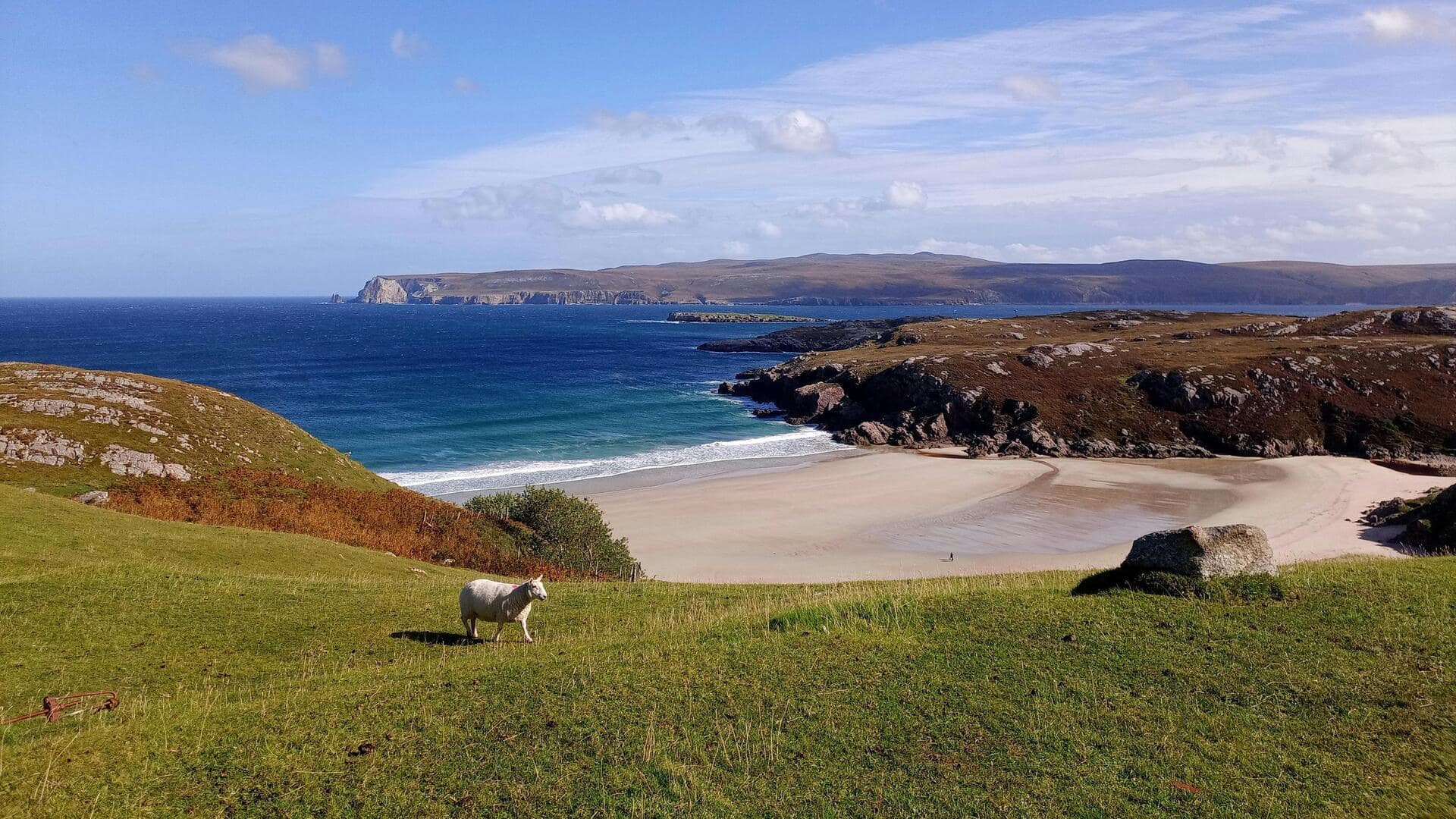 Lima Pemandangan Tebing Laut Skotlandia yang Menakjubkan