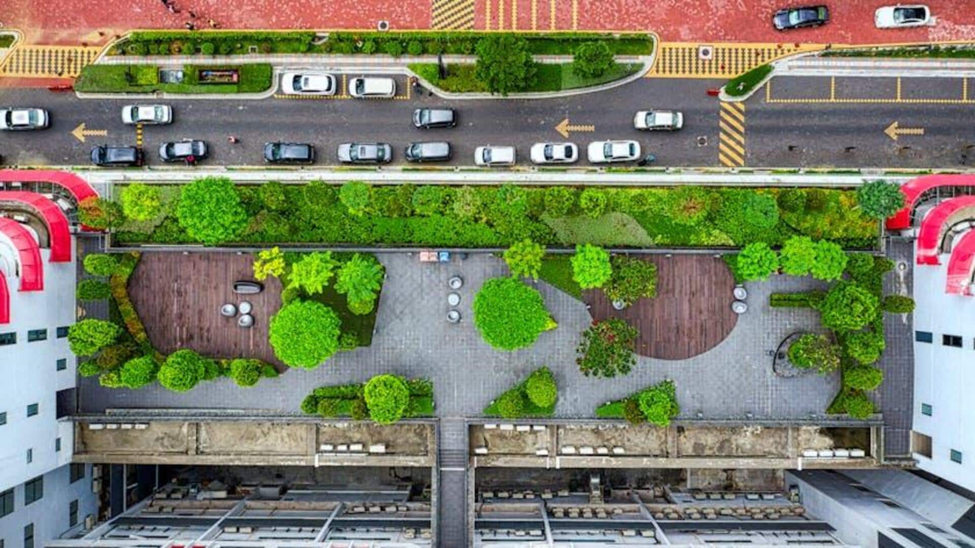 Atap Hijau: Solusi Penyerapan CO2 yang Efektif