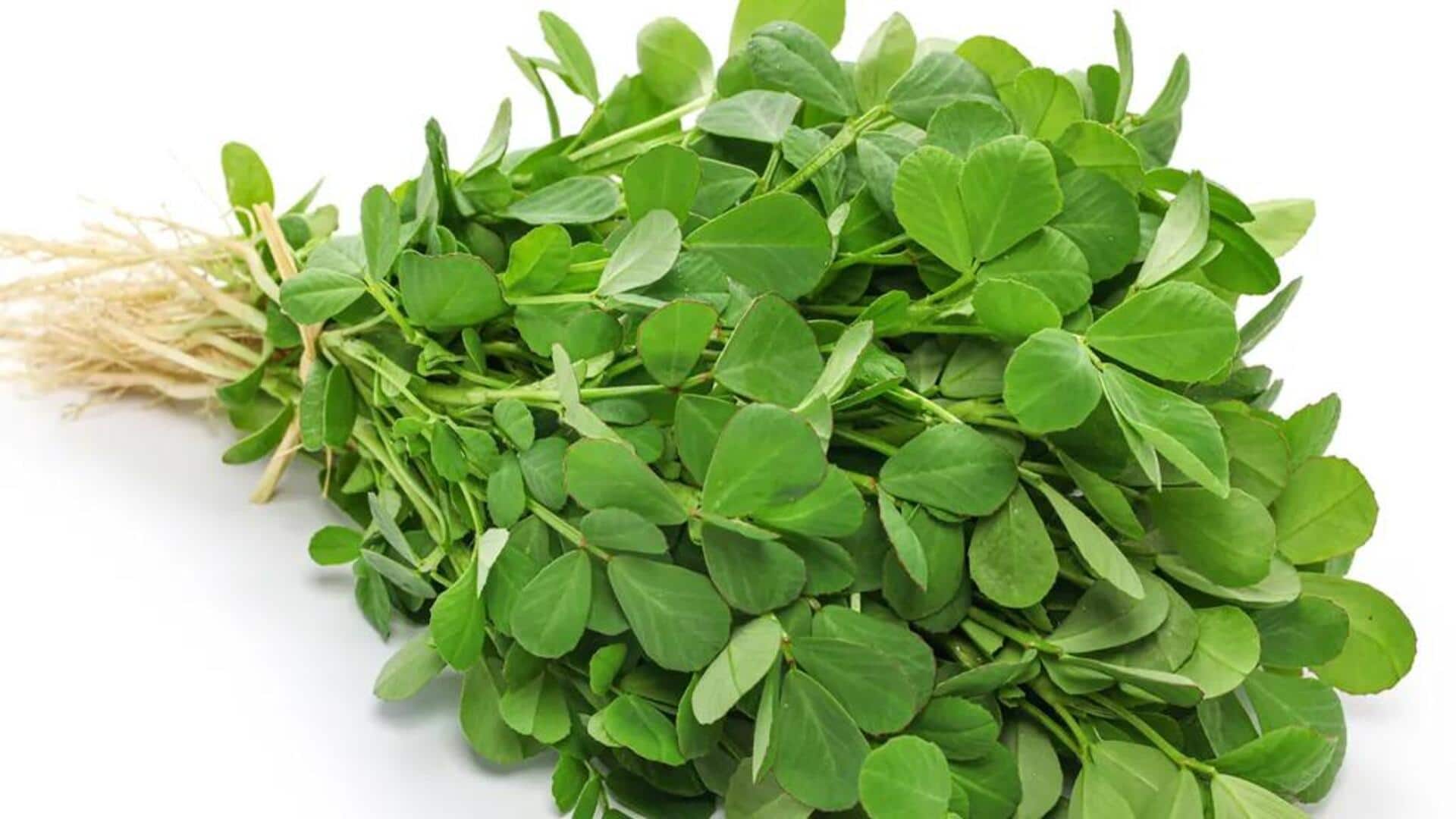 Tingkatkan Cita Rasa Hidangan Anda dengan Sentuhan Daun Fenugreek