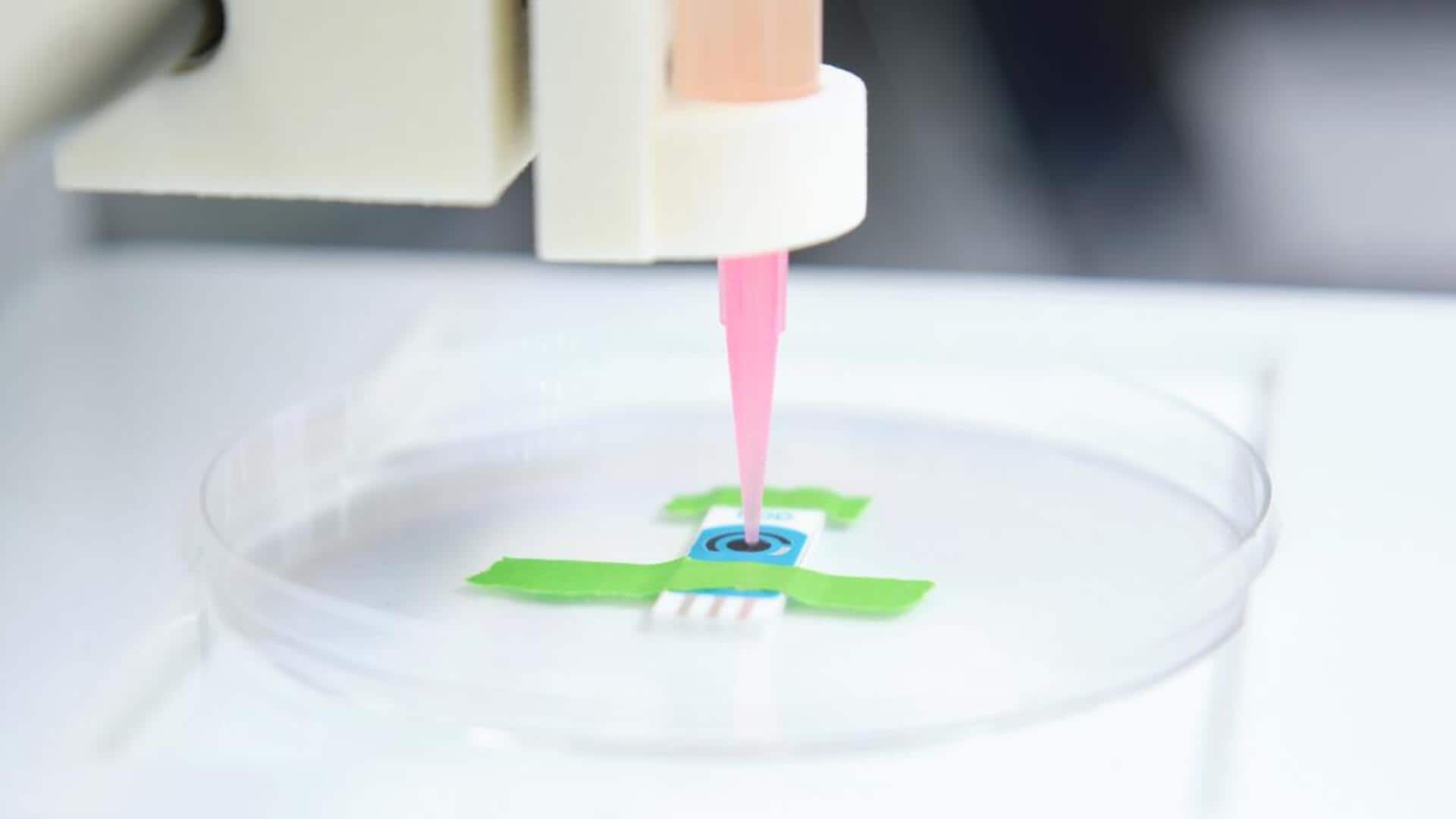 Elektronik Biodegradable: Inovasi yang Terinspirasi oleh Alam Elektronik Biodegradable: Inovasi yang Terinspirasi oleh Alam